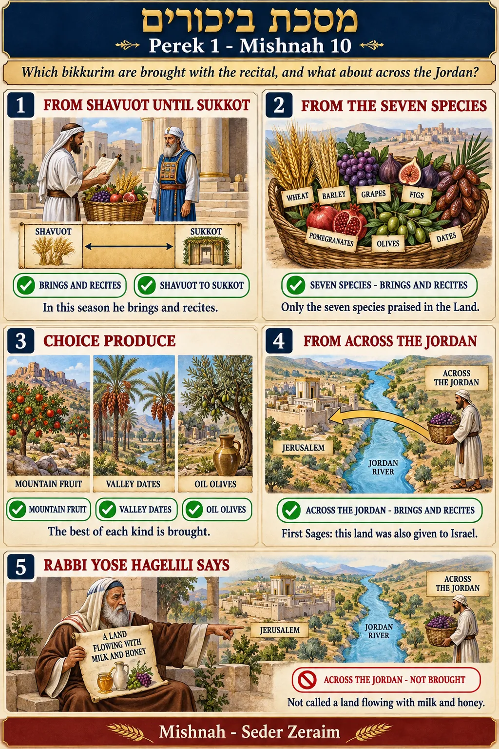 Infographic for Bikkurim 1:10: THOSE WHO BRING AND RECITE