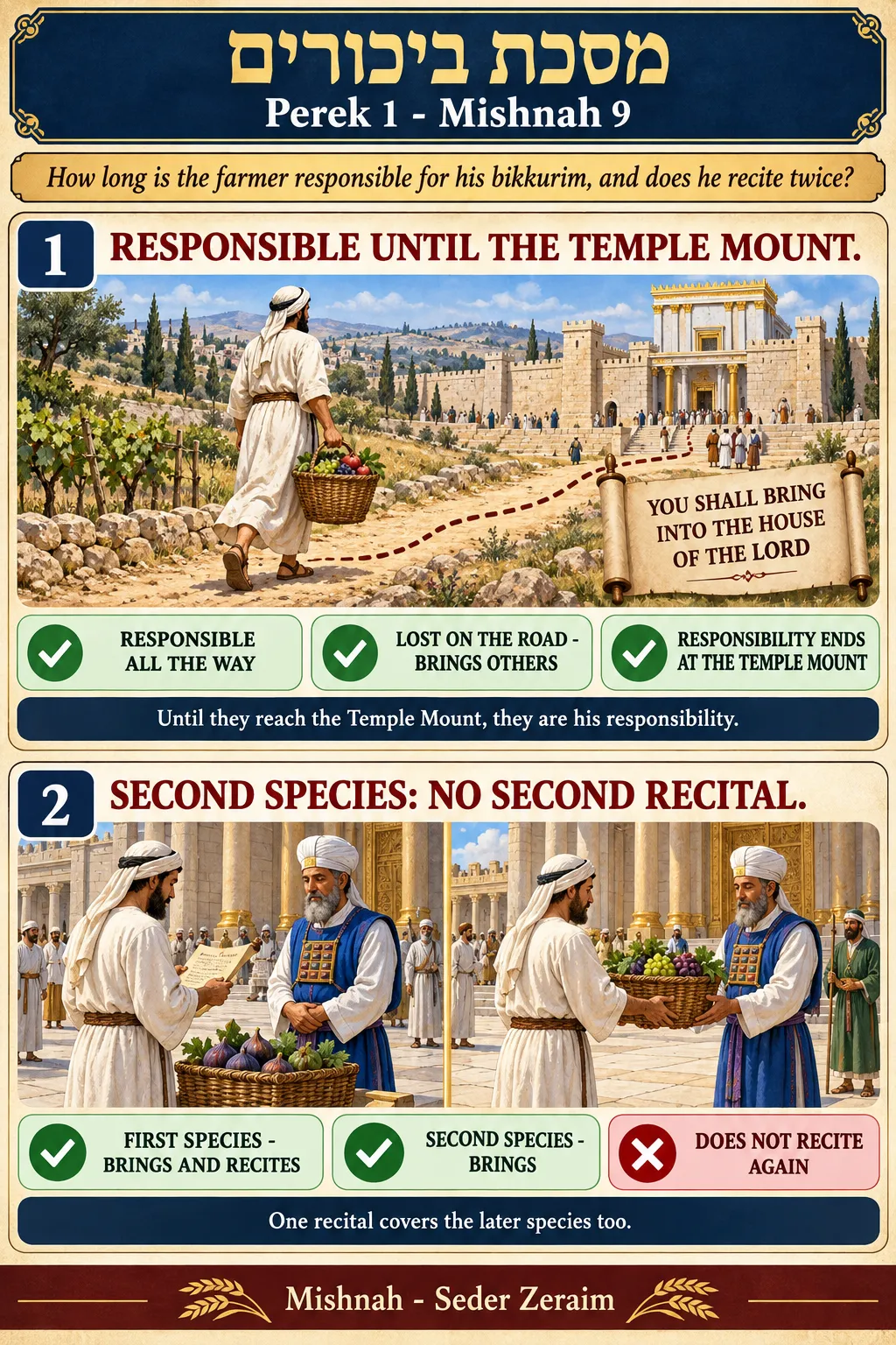 Infographic for Bikkurim 1:9: RESPONSIBLE UNTIL THE TEMPLE MOUNT