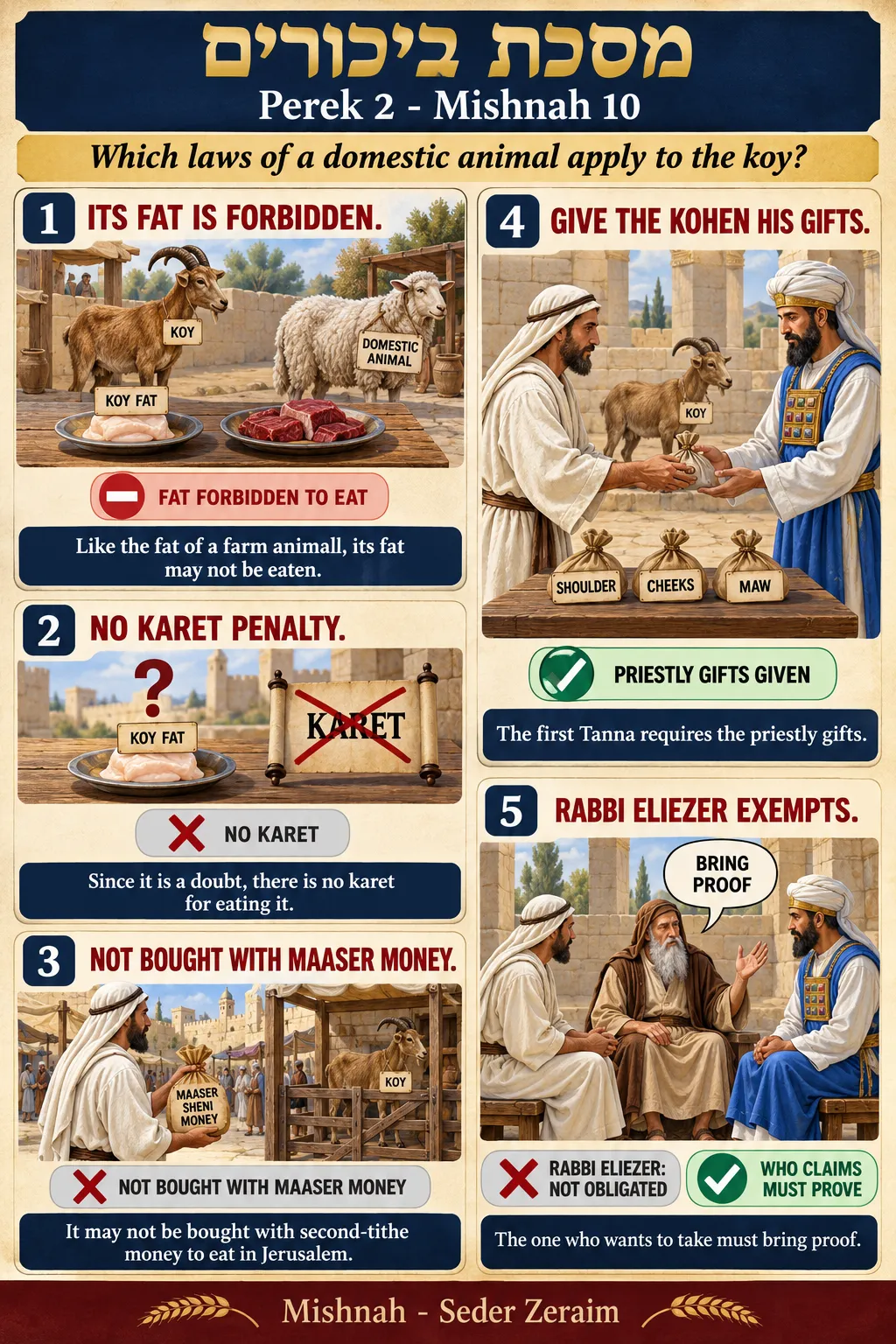 Infographic for Bikkurim 2:10: HOW THE KOY IS LIKE A DOMESTIC ANIMAL