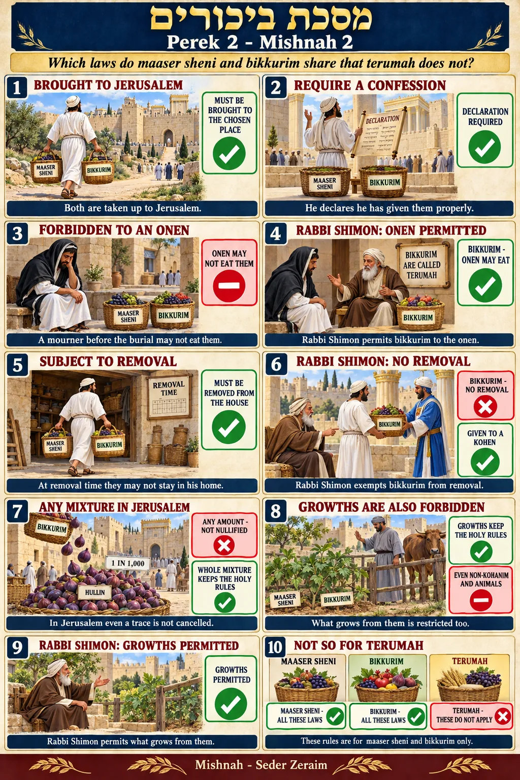 Infographic for Bikkurim 2:2: MAASER SHENI AND BIKKURIM ALIKE