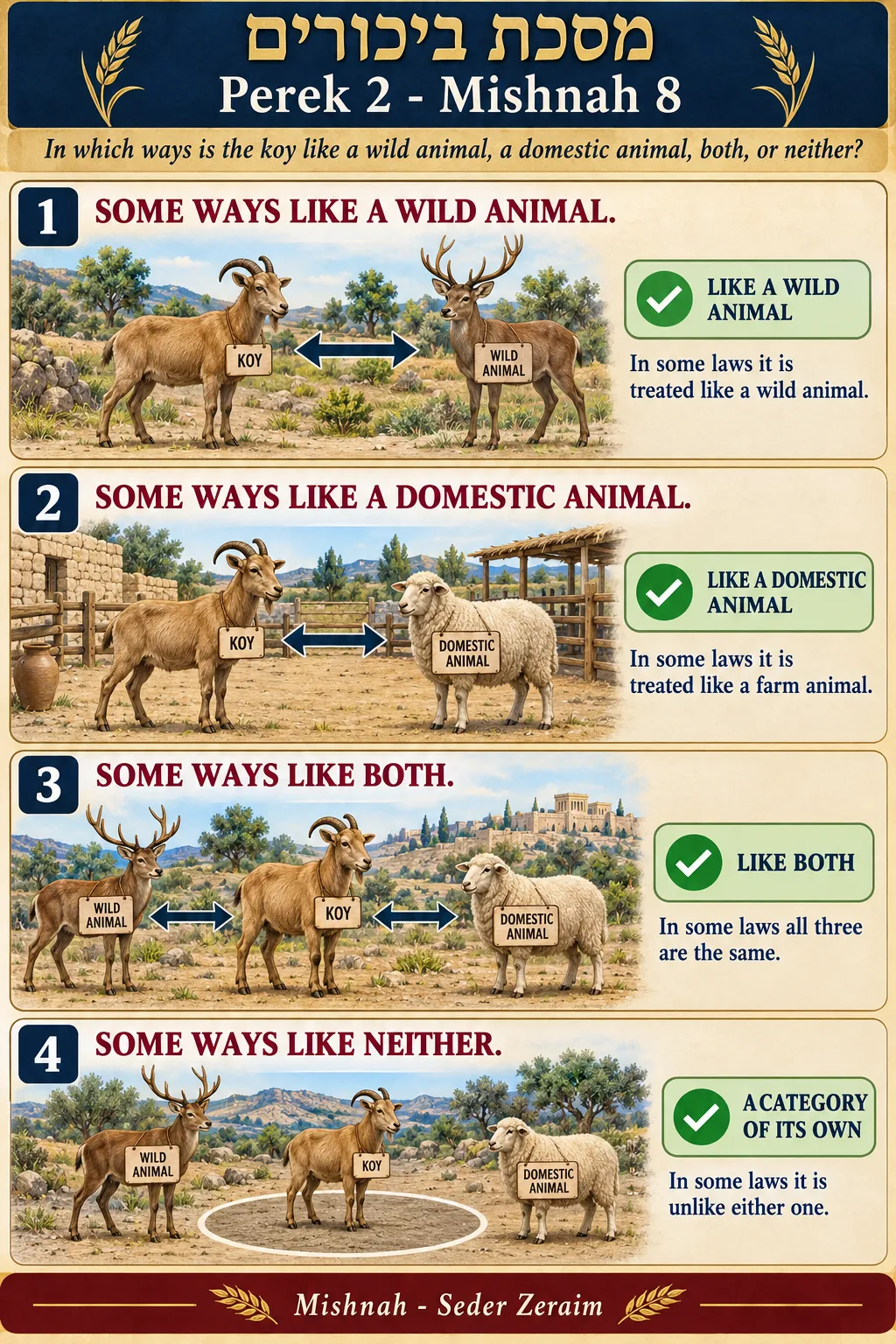 Infographic for Bikkurim 2:8: THE KOY - A CREATURE IN DOUBT