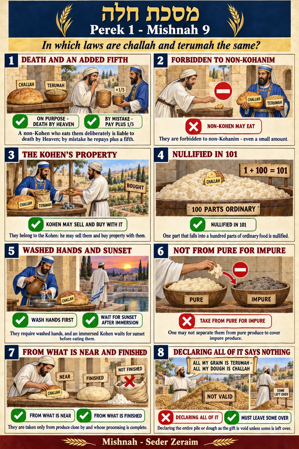 Infographic for Challah 1:9: CHALLAH IS LIKE TERUMAH