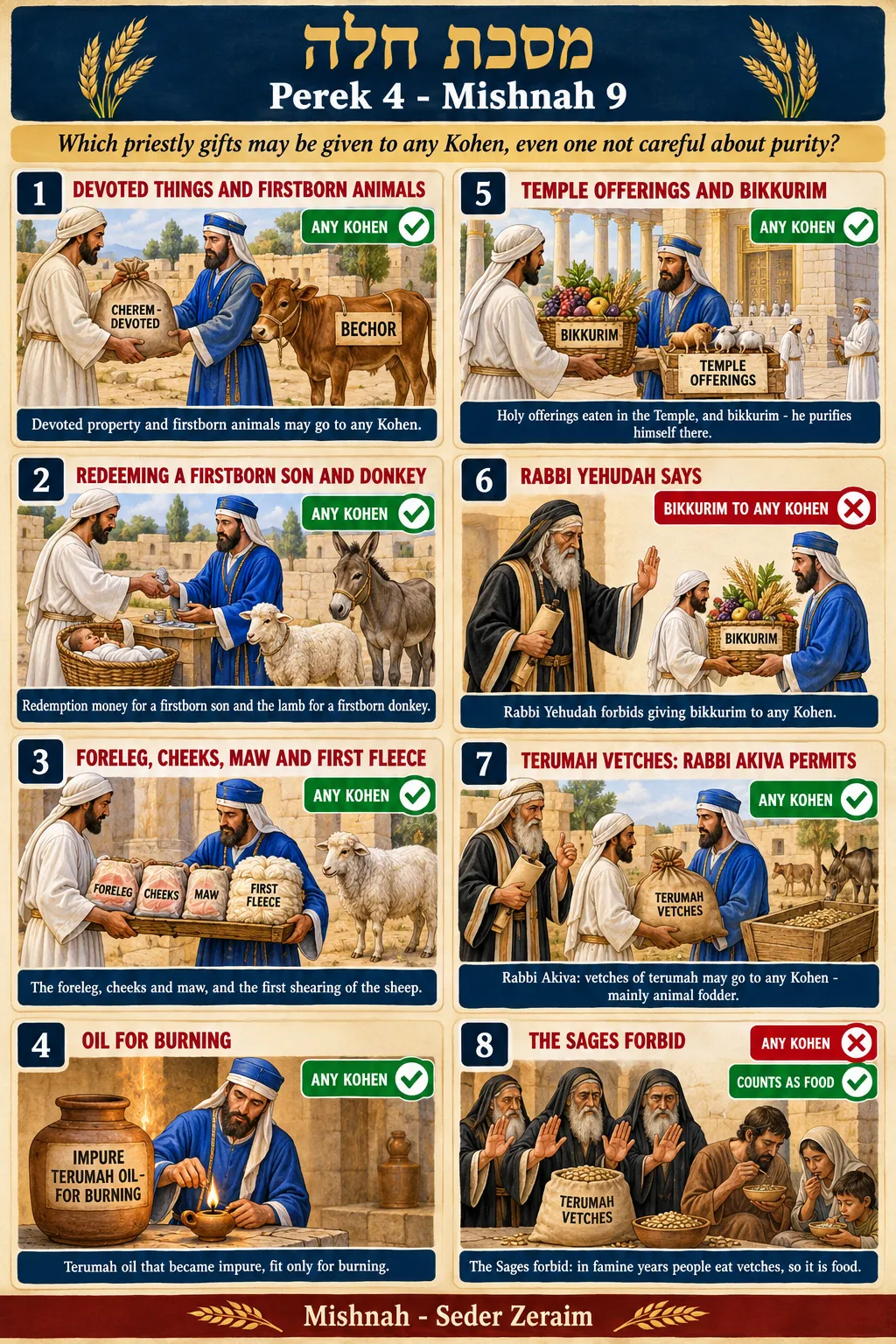 Infographic for Challah 4:9: GIFTS FOR ANY KOHEN