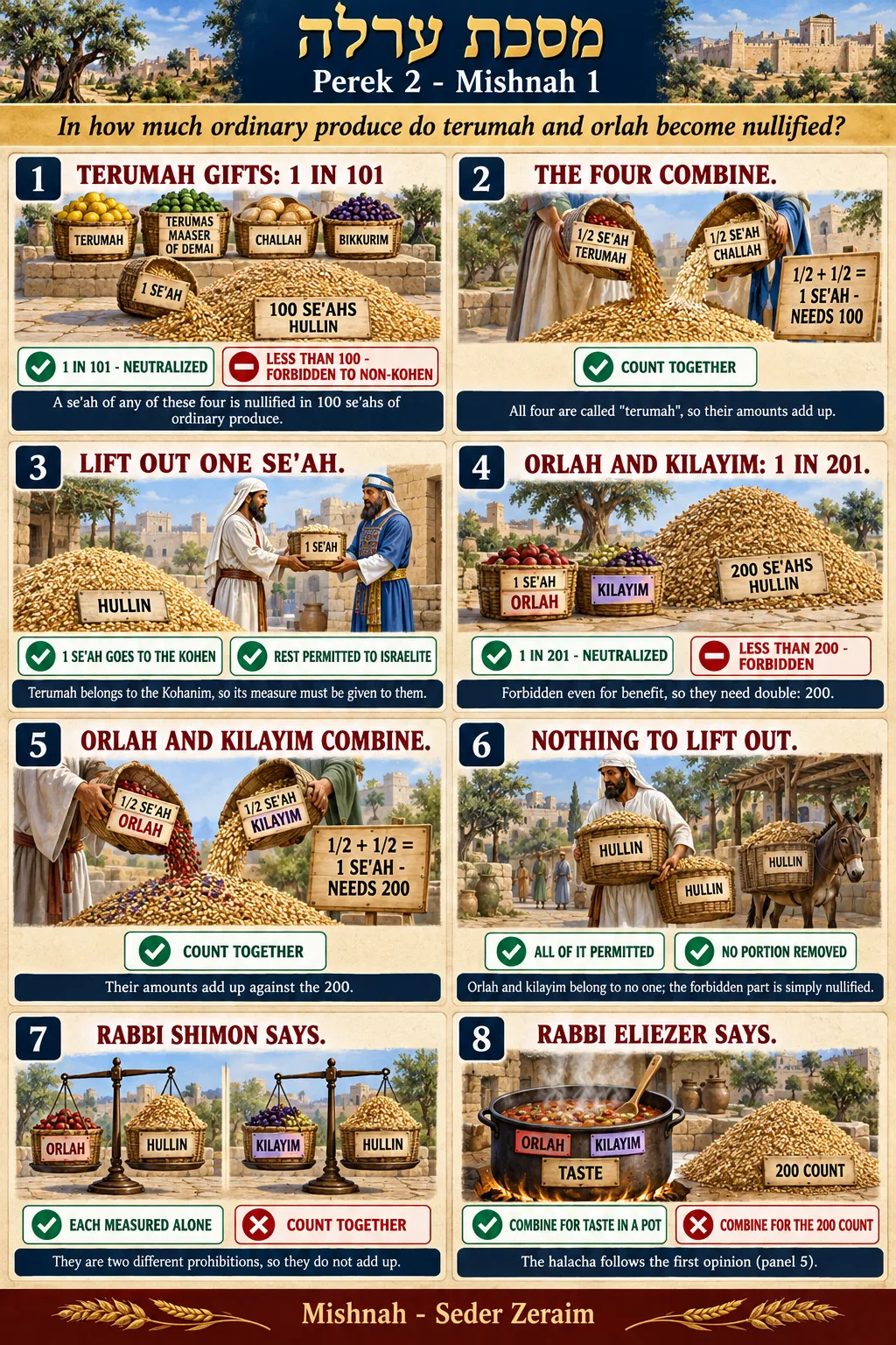 Infographic for Orlah 2:1: WHAT NEUTRALIZES IN 101, WHAT IN 201