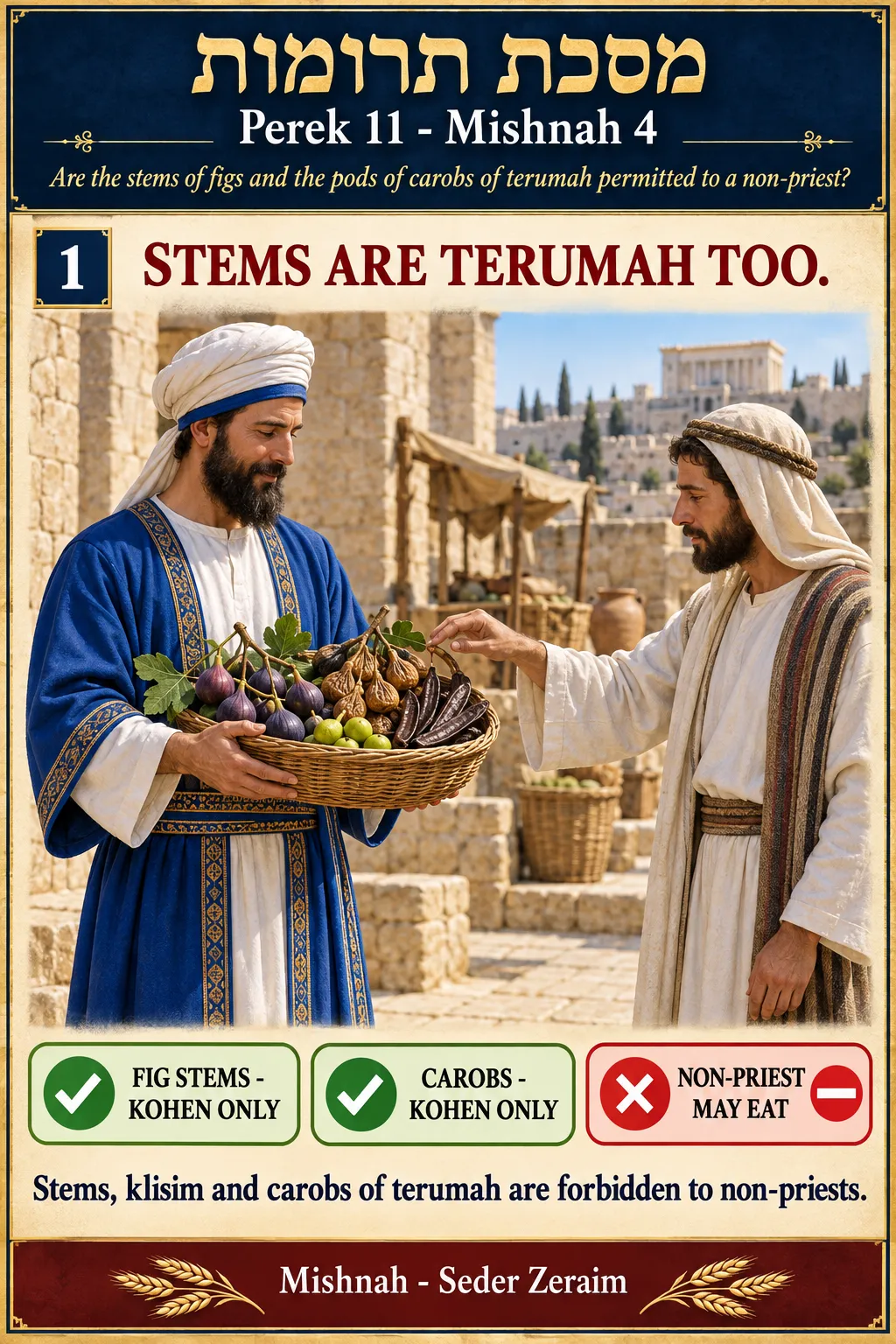 Infographic for Terumos 11:4: STEMS AND PODS OF TERUMAH