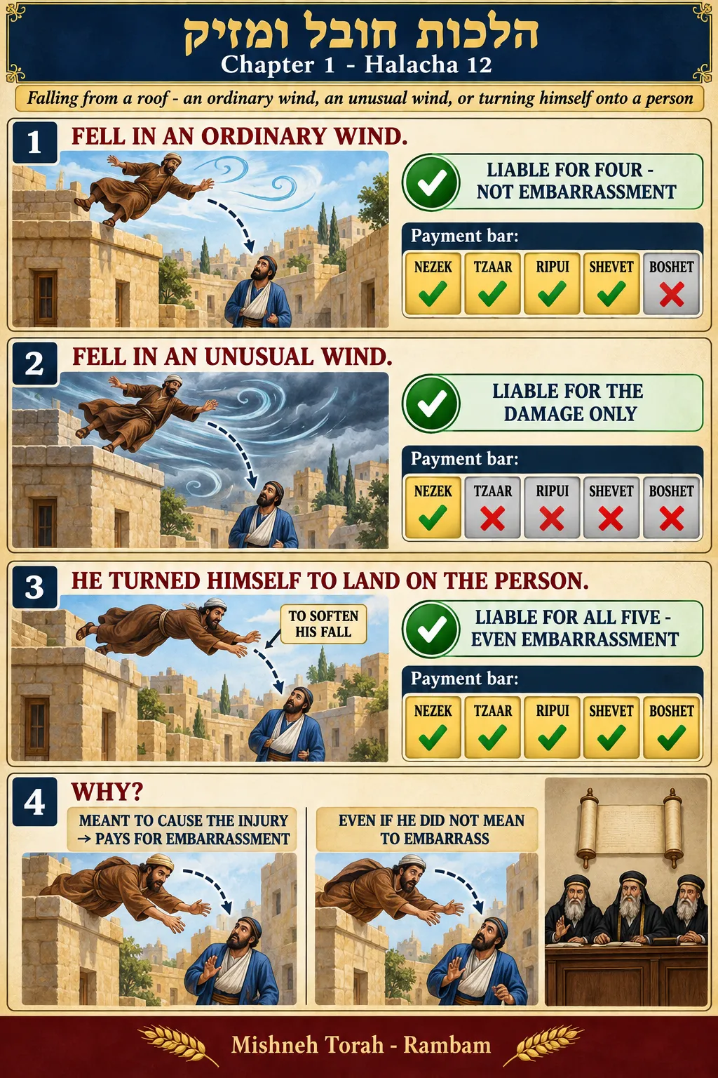 Infographic for halacha 1:12
