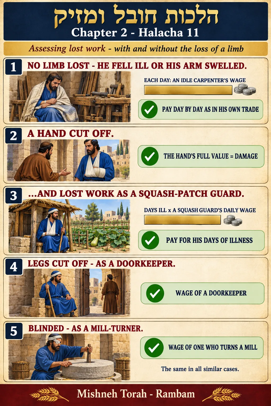 Infographic for halacha 2:11