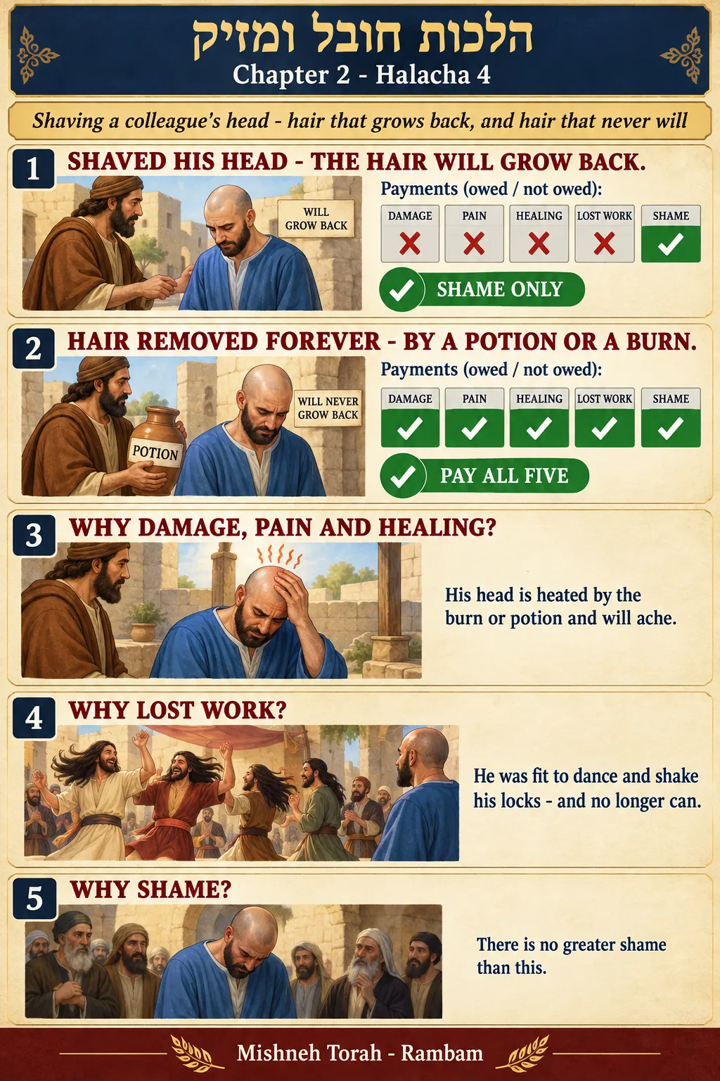 Infographic for halacha 2:4