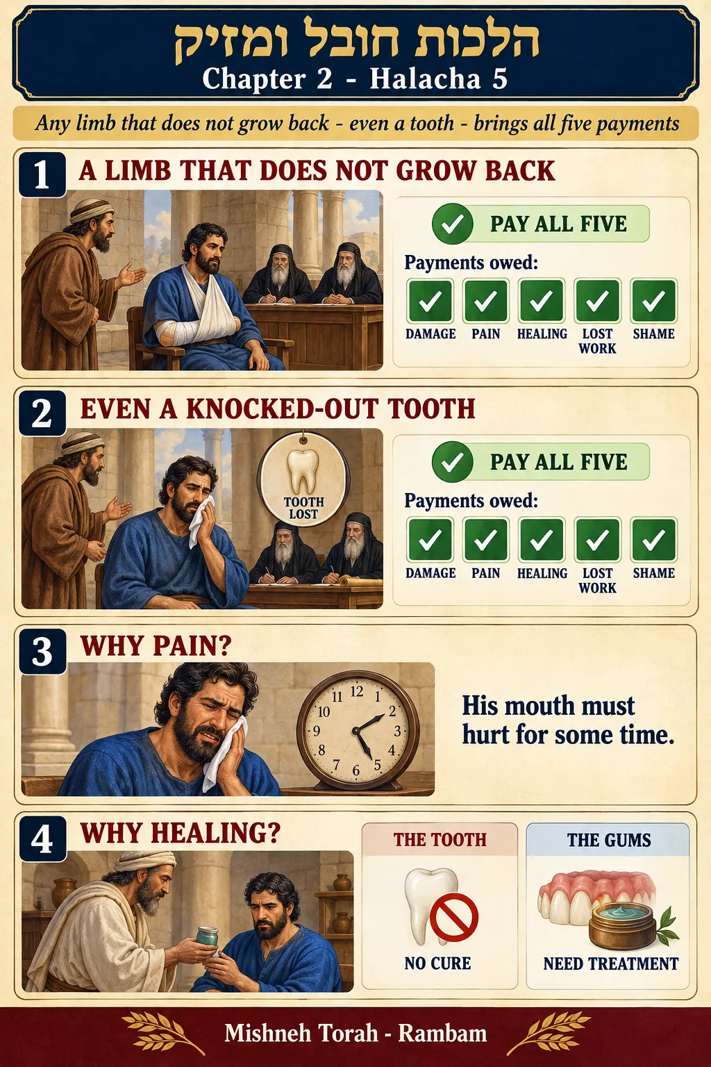 Infographic for halacha 2:5
