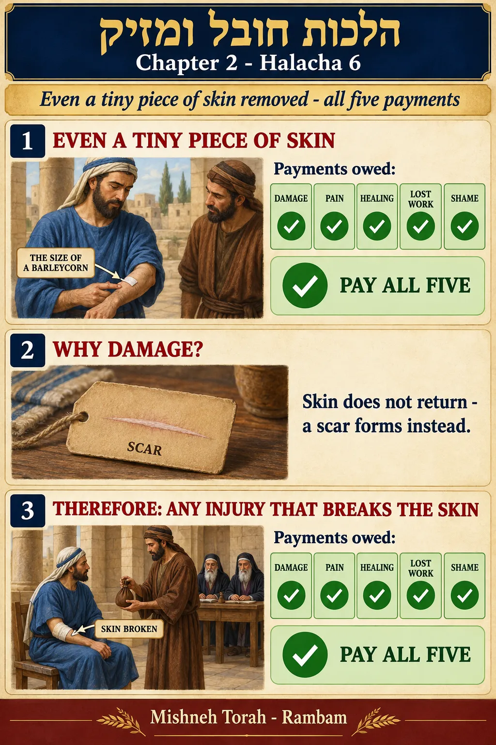 Infographic for halacha 2:6