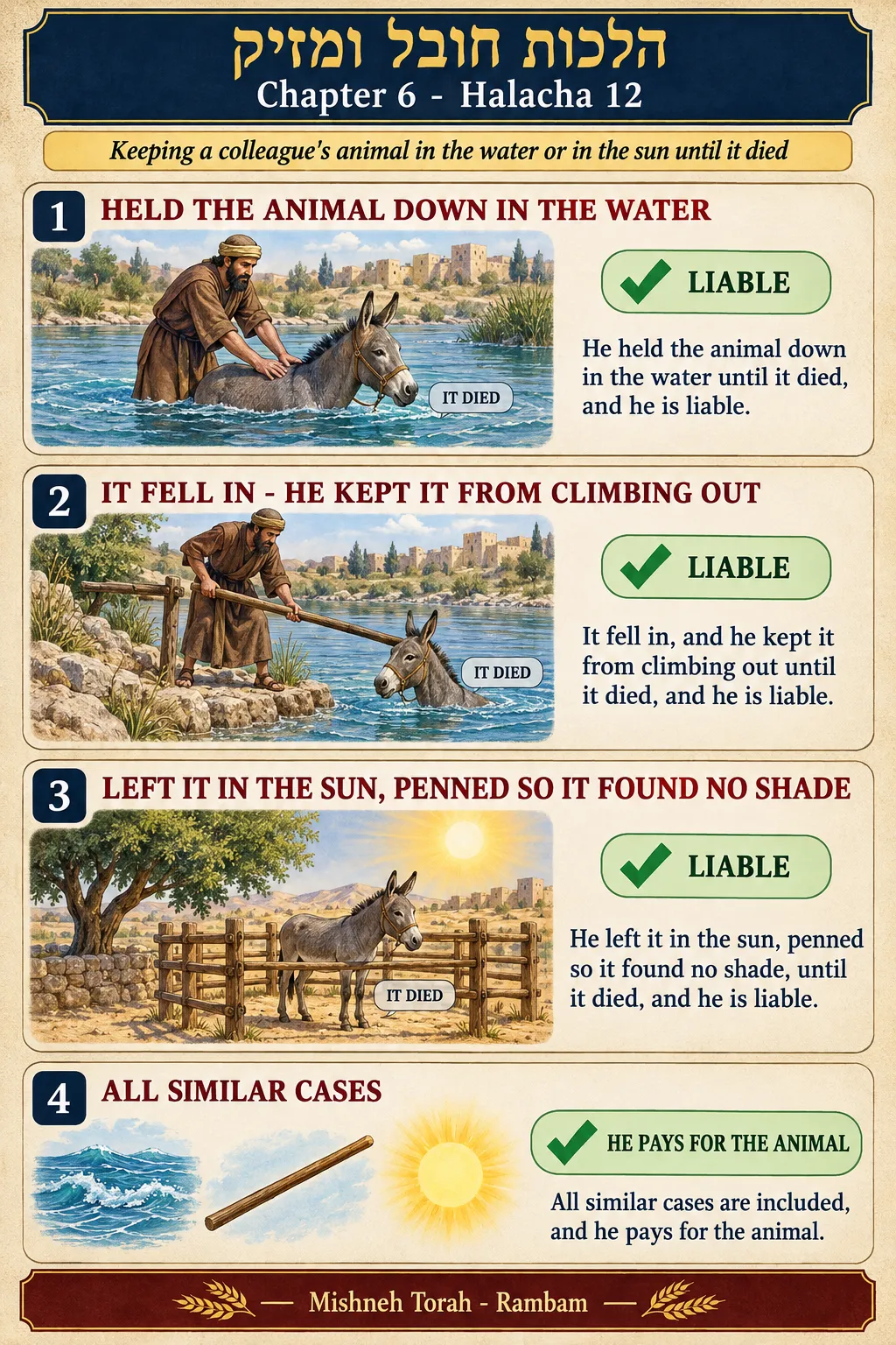 Infographic for halacha 6:12