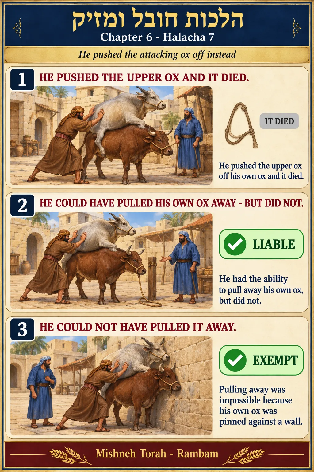 Infographic for halacha 6:7