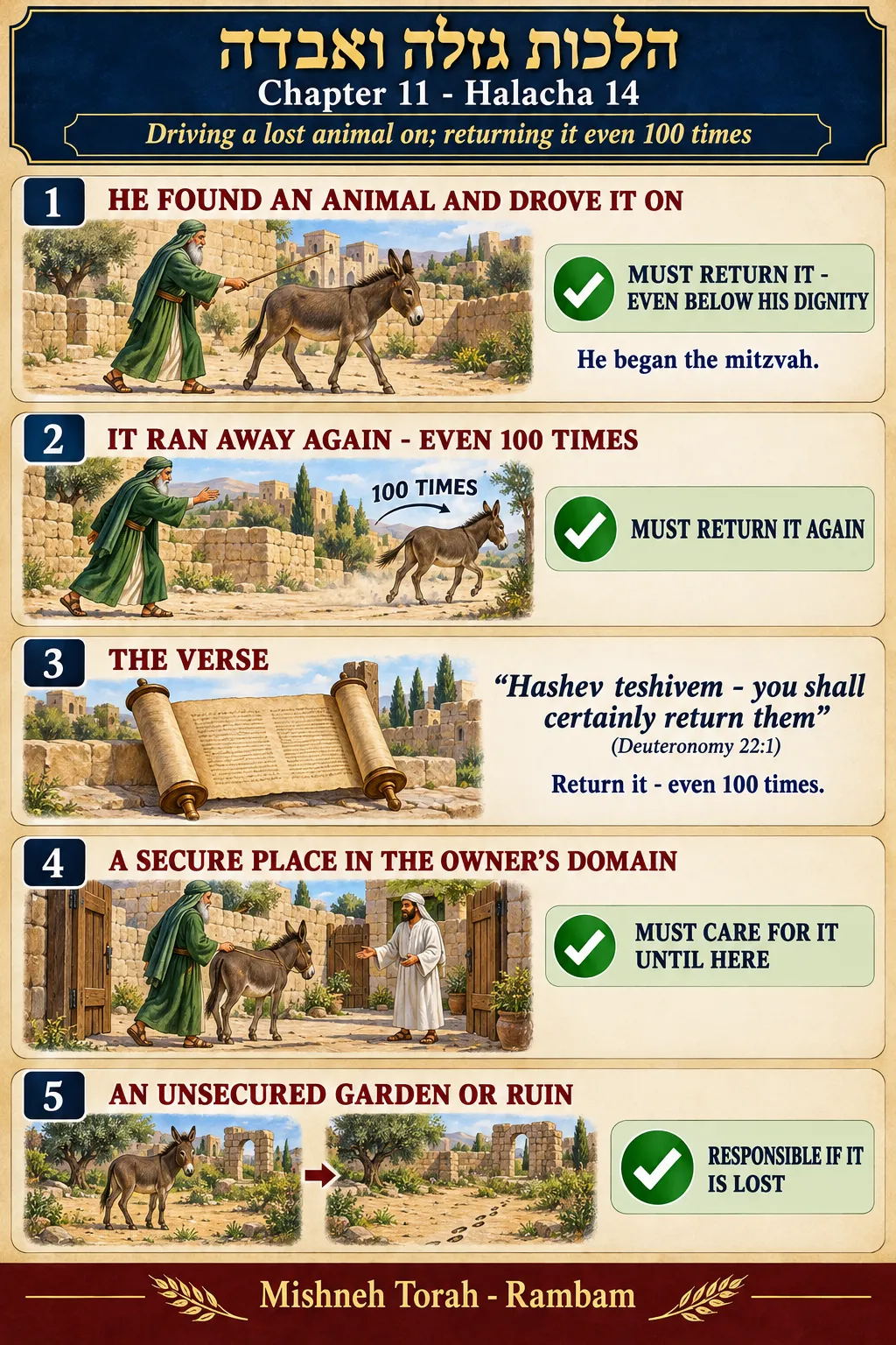 Infographic for halacha 11:14