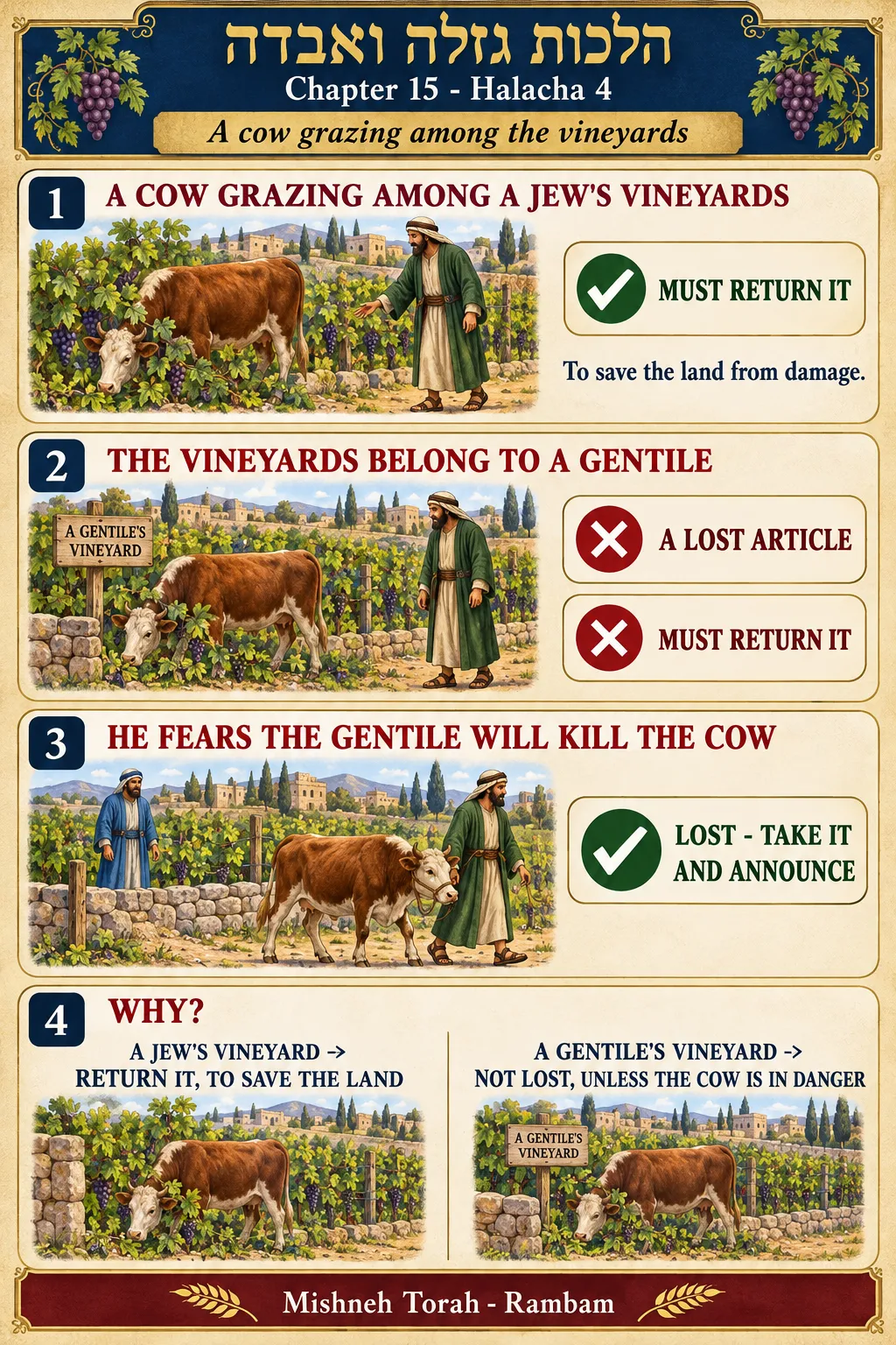 Infographic for halacha 15:4