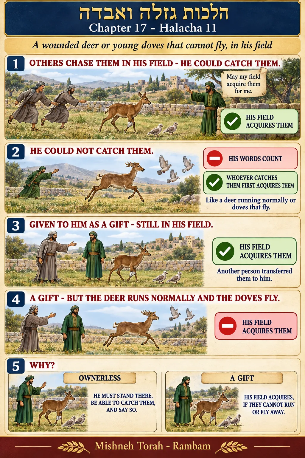 Infographic for halacha 17:11