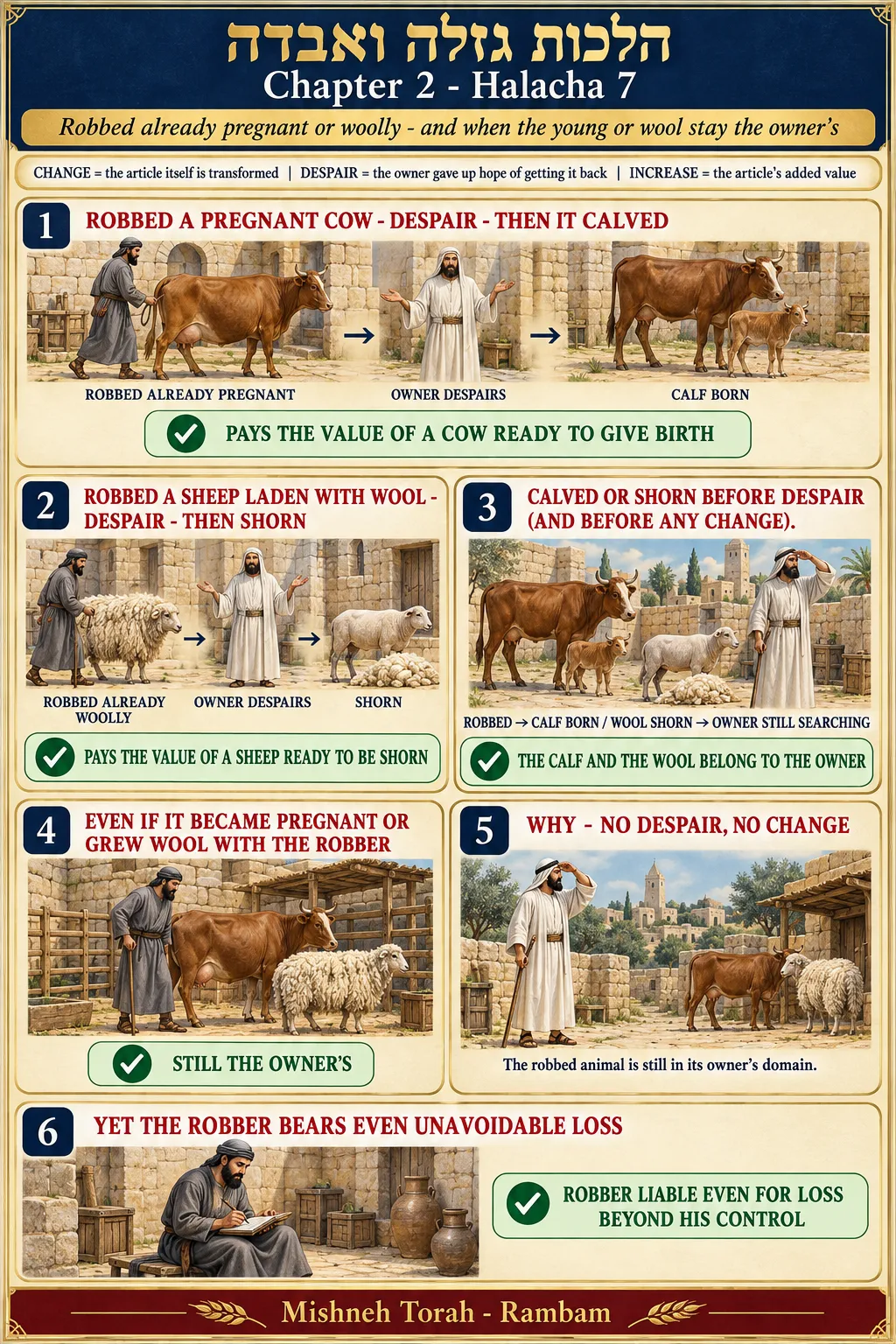 Infographic for halacha 2:7