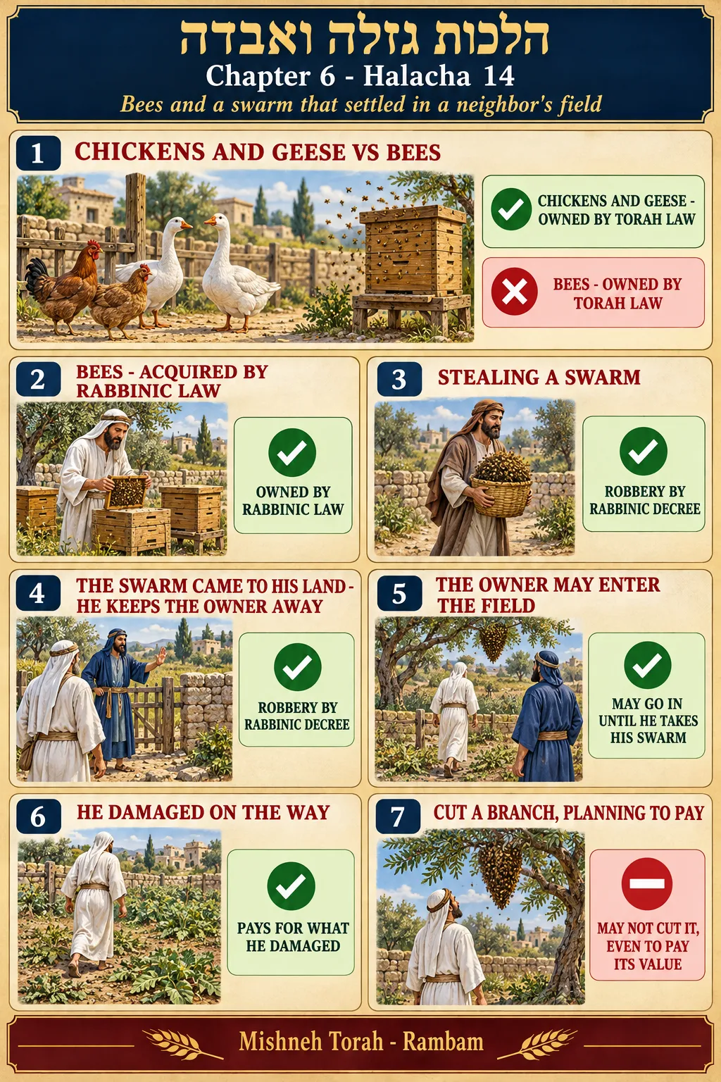 Infographic for halacha 6:14