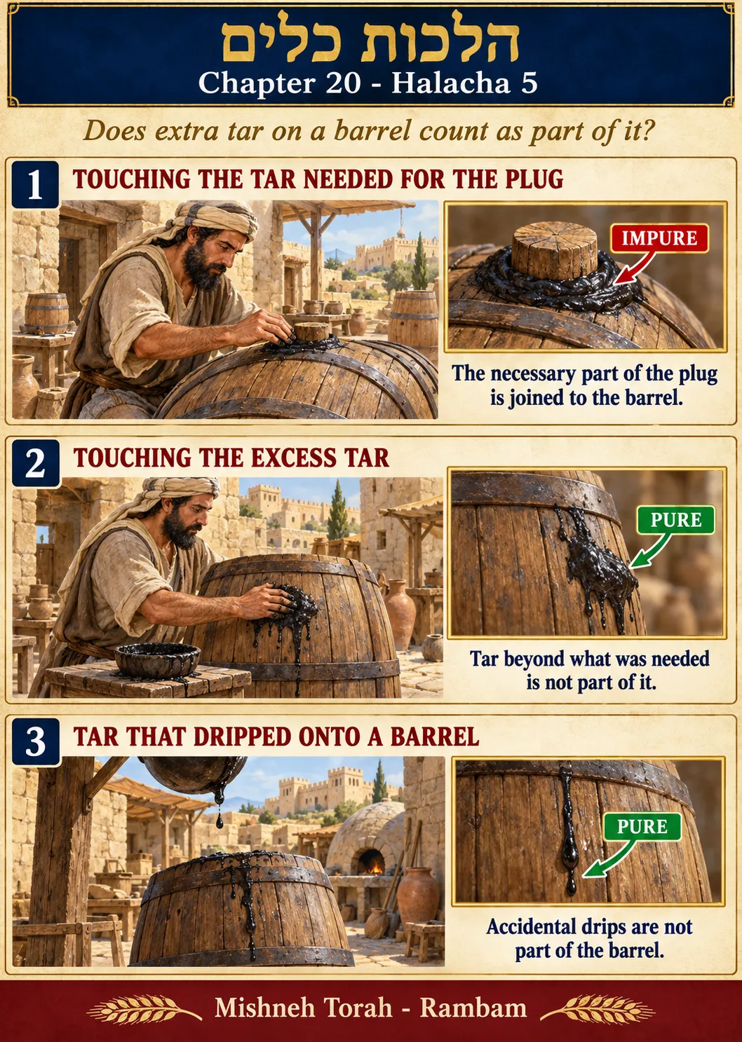 Infographic for halacha 20:5