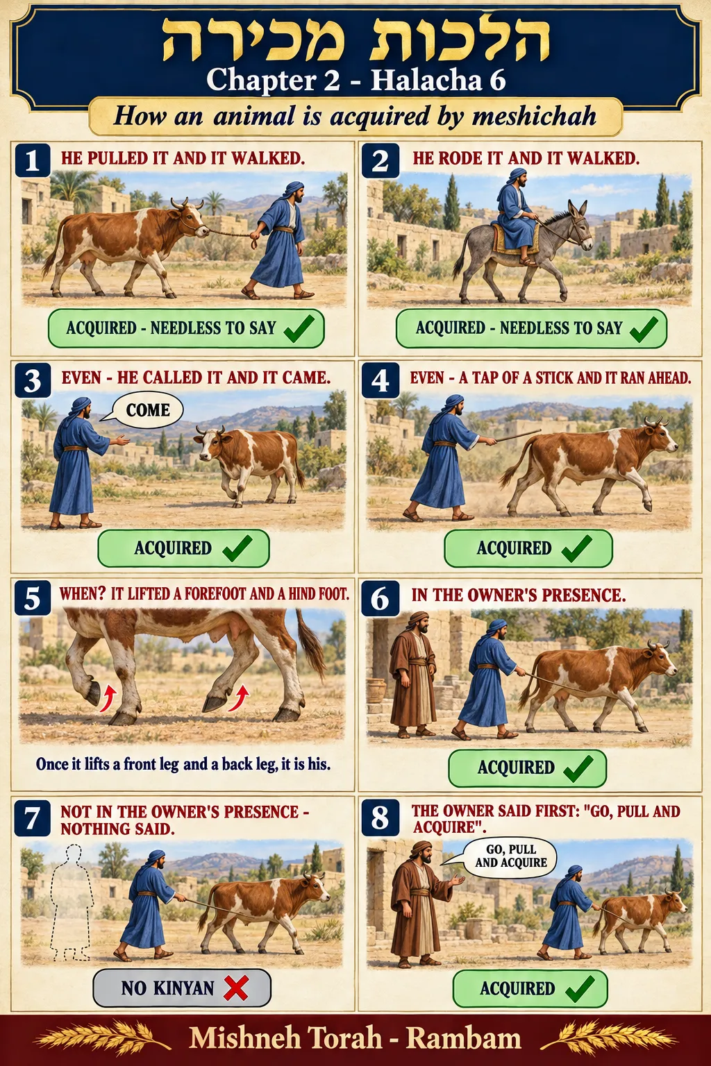 Infographic for halacha 2:6