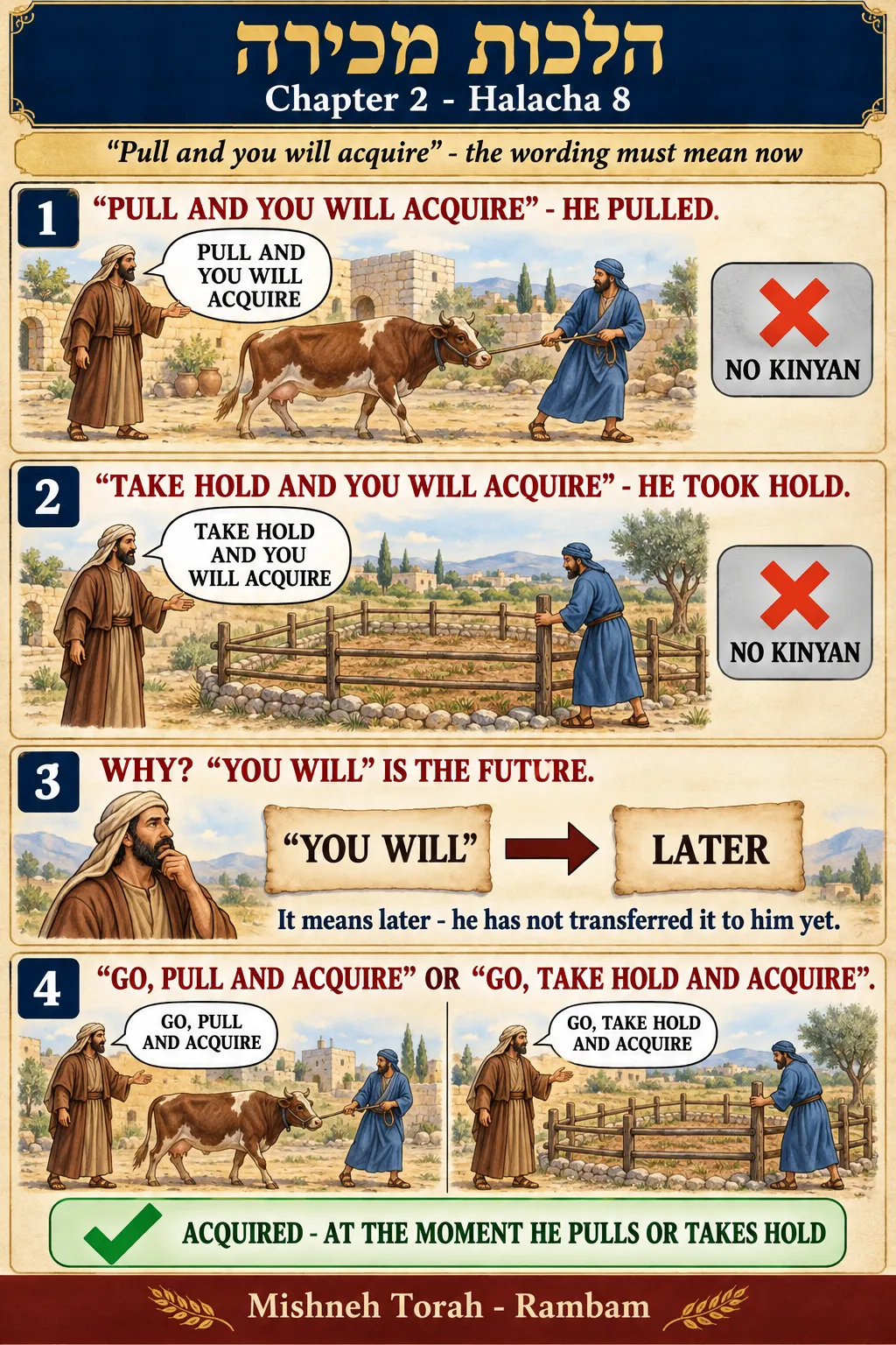 Infographic for halacha 2:8