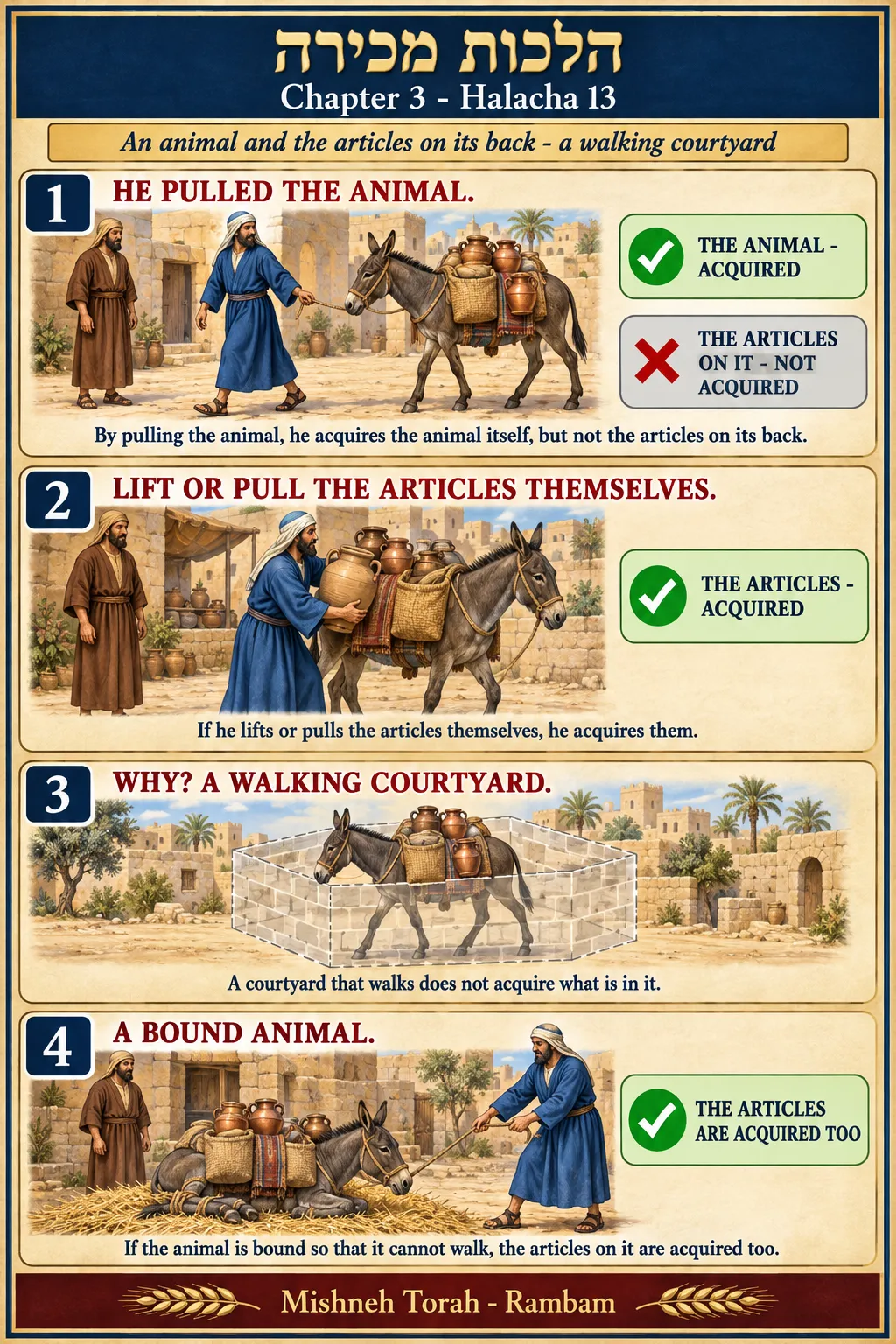 Infographic for halacha 3:13