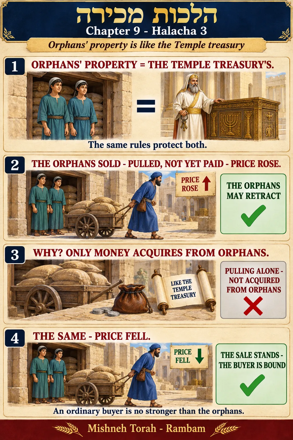 Infographic for halacha 9:3