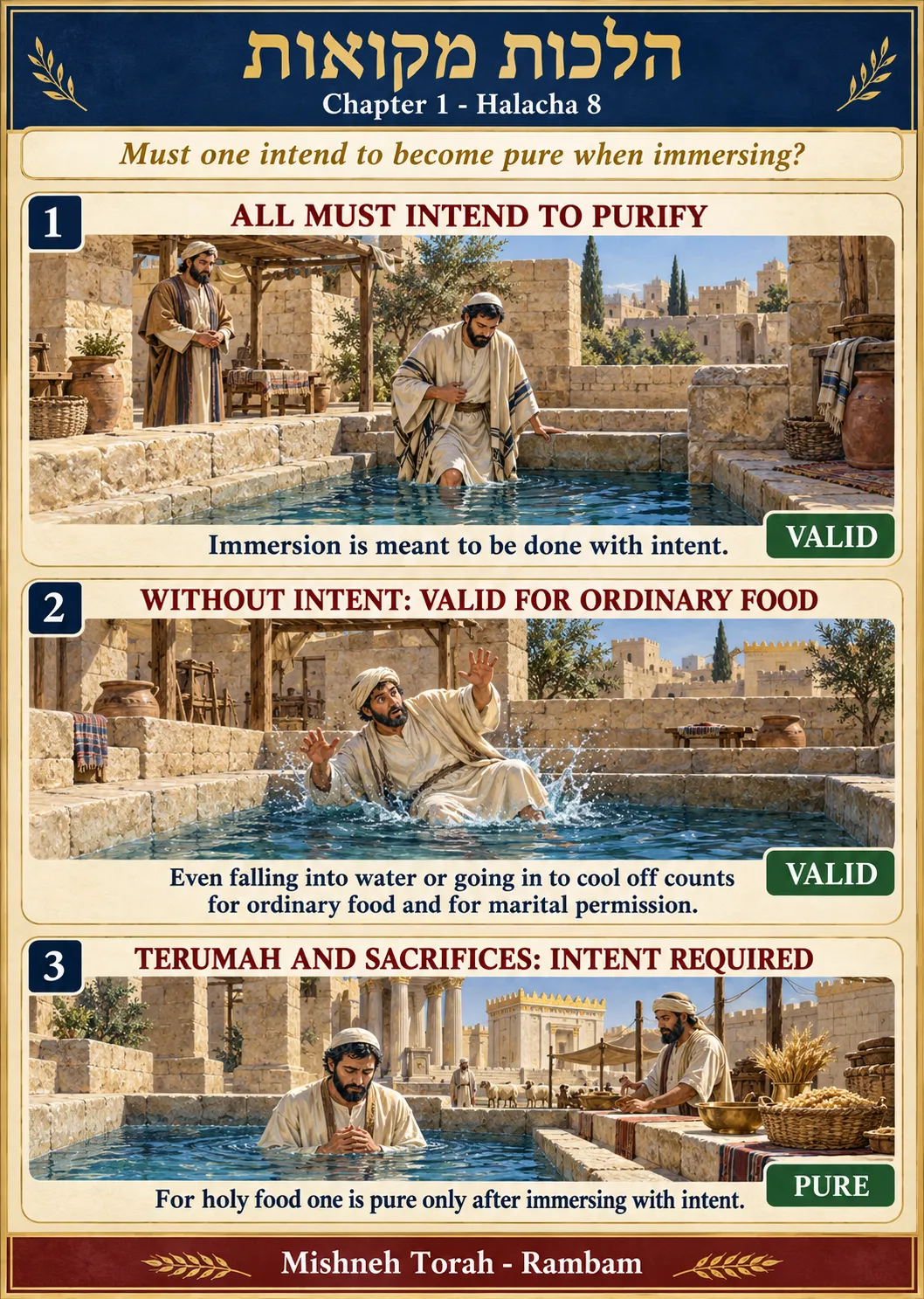 Infographic for halacha 1:8
