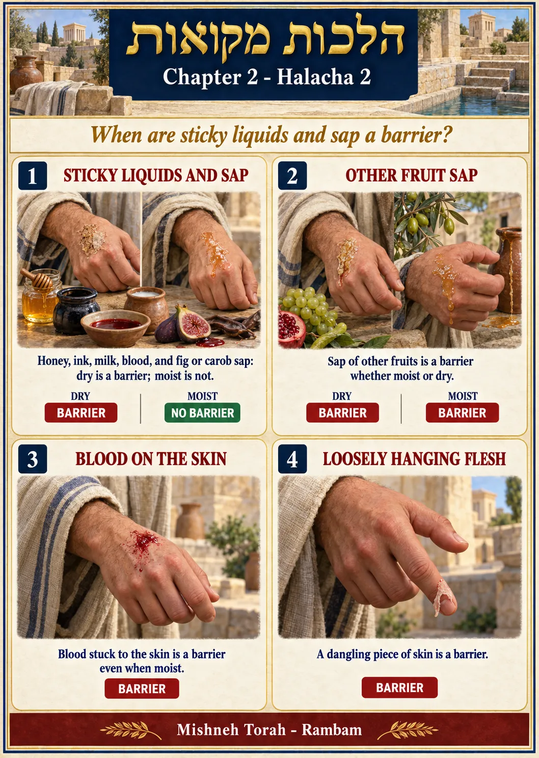 Infographic for halacha 2:2