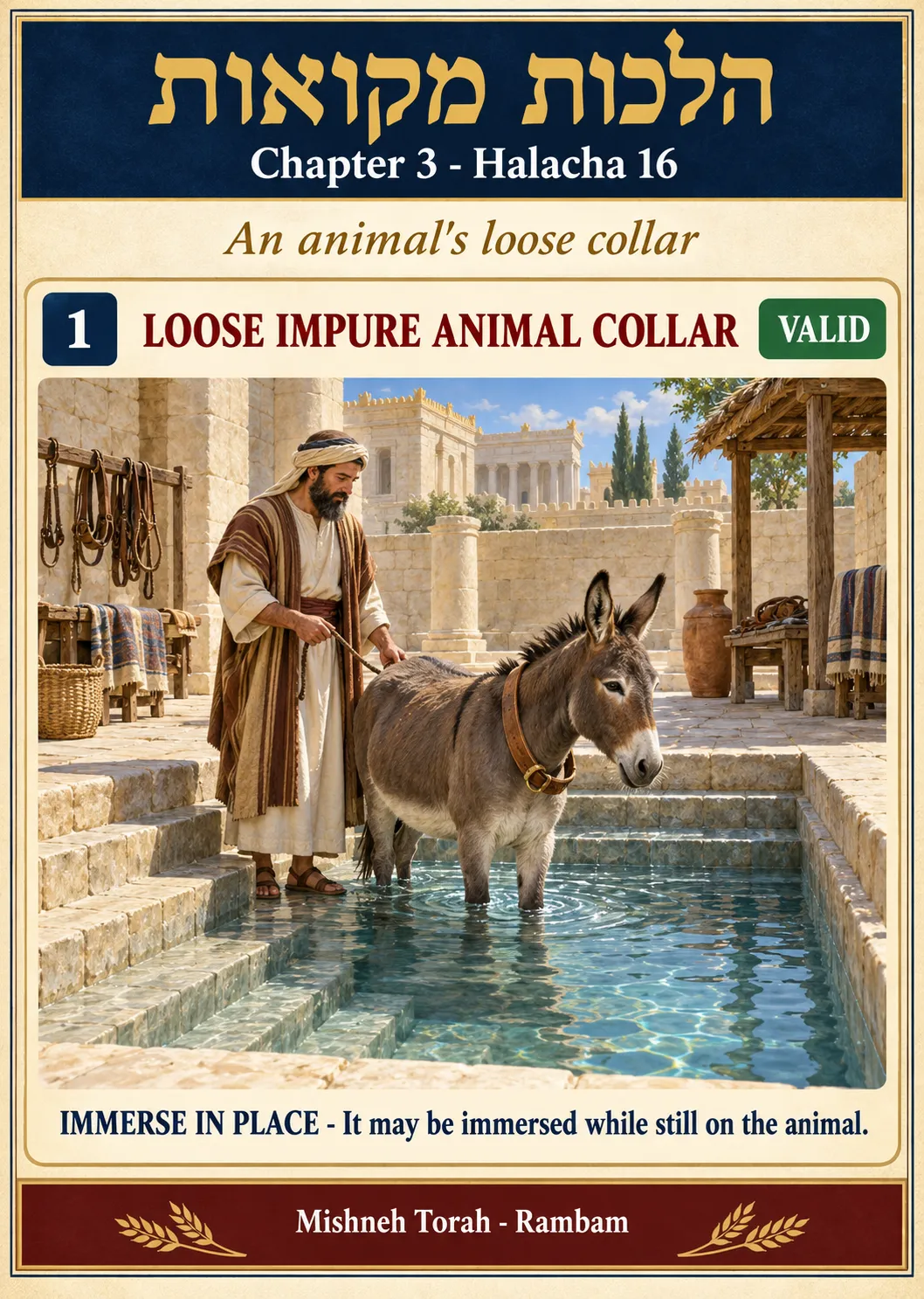Infographic for halacha 3:16