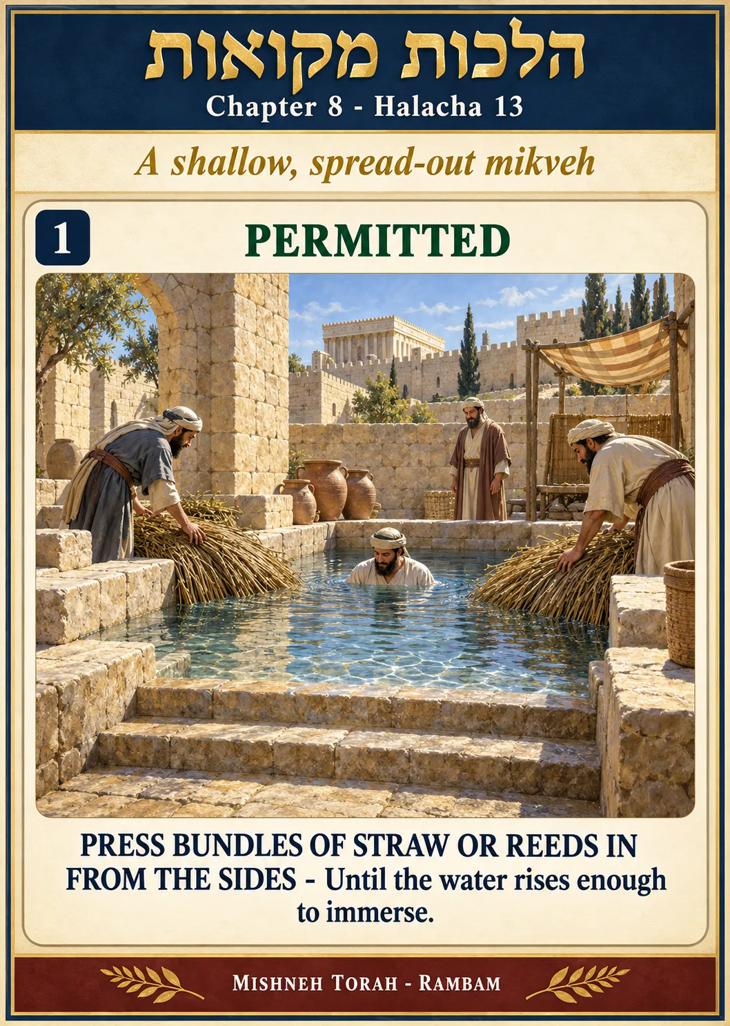 Infographic for halacha 8:13