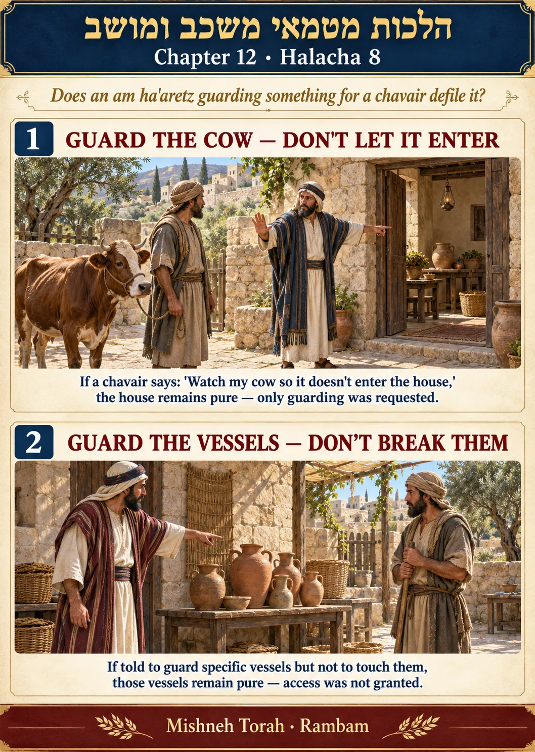 Infographic for halacha 12:8