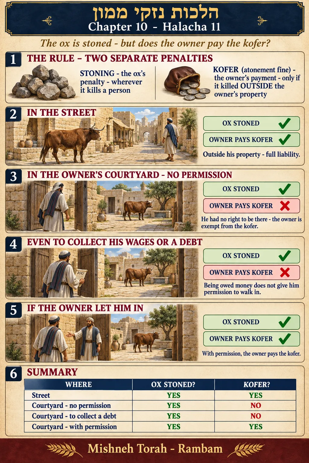 Infographic for halacha 10:11: The ox is stoned - but does the owner pay the kofer?