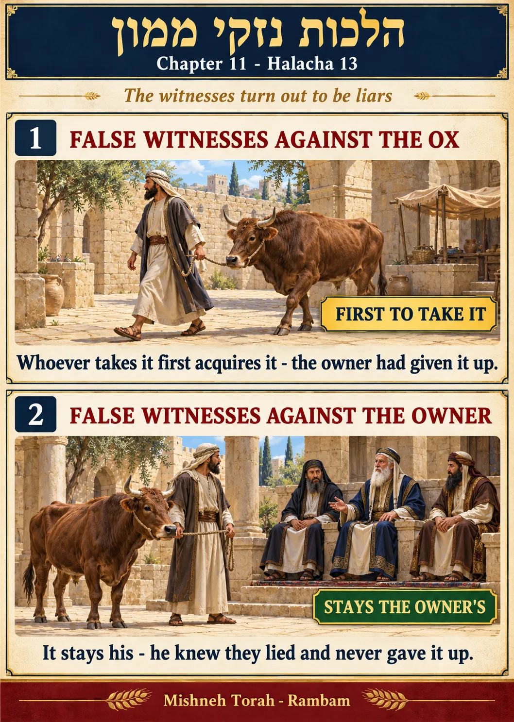 Infographic for halacha 11:13