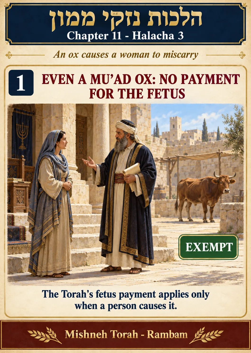 Infographic for halacha 11:3