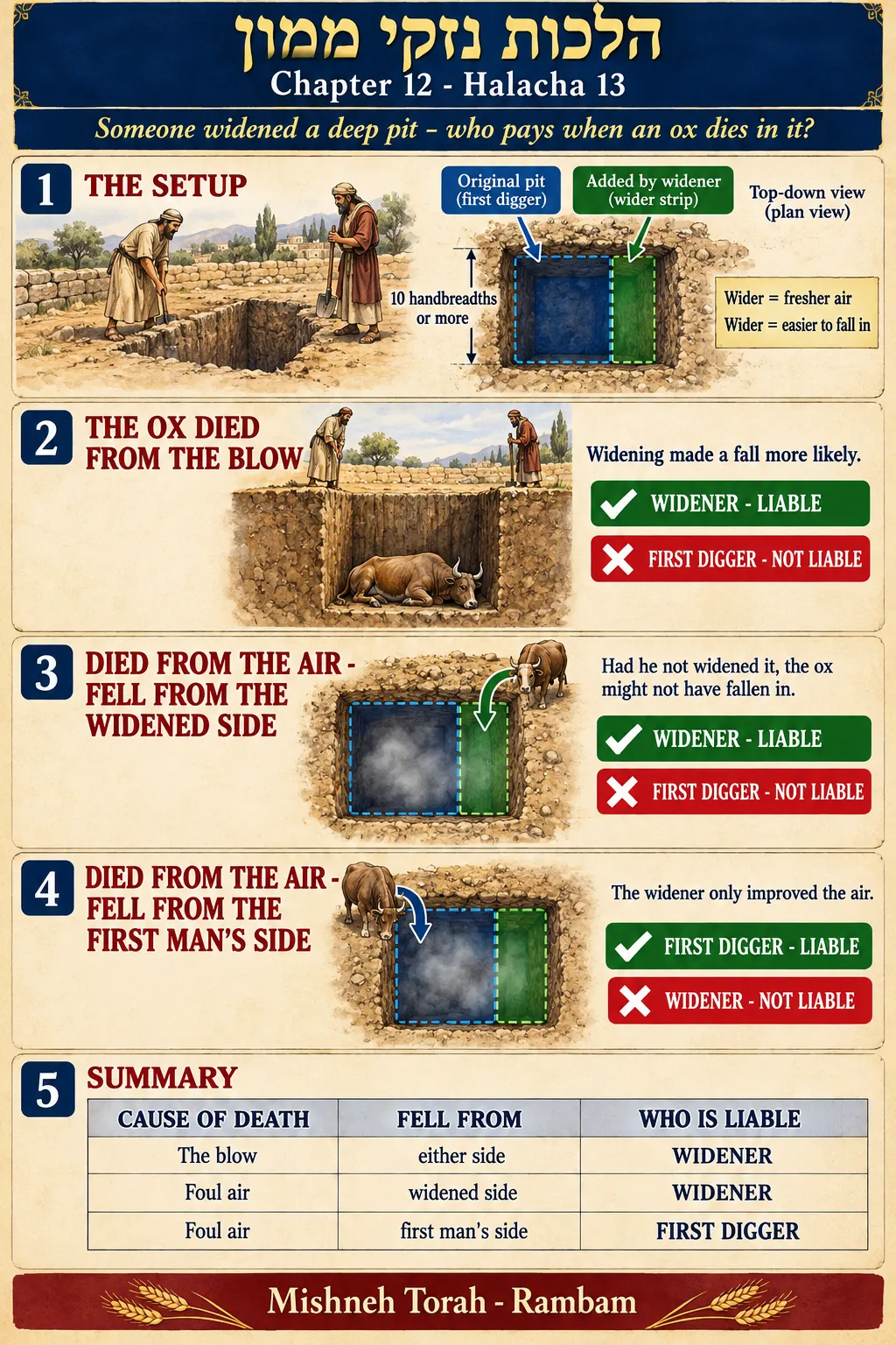 Infographic for halacha 12:13