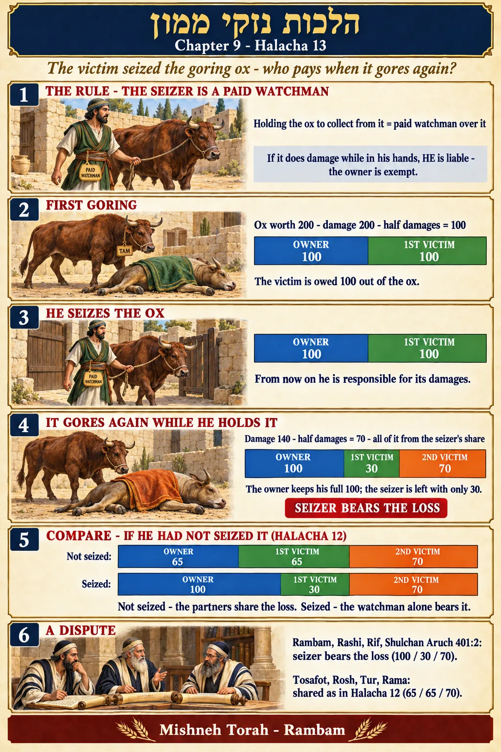 Infographic for halacha 9:13: The victim seized the goring ox - who pays when it gores again?