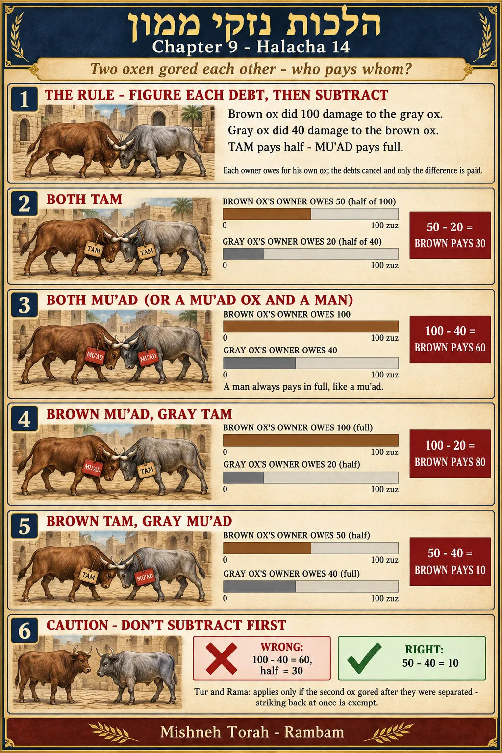 Infographic for halacha 9:14: Two oxen gored each other - who pays whom?