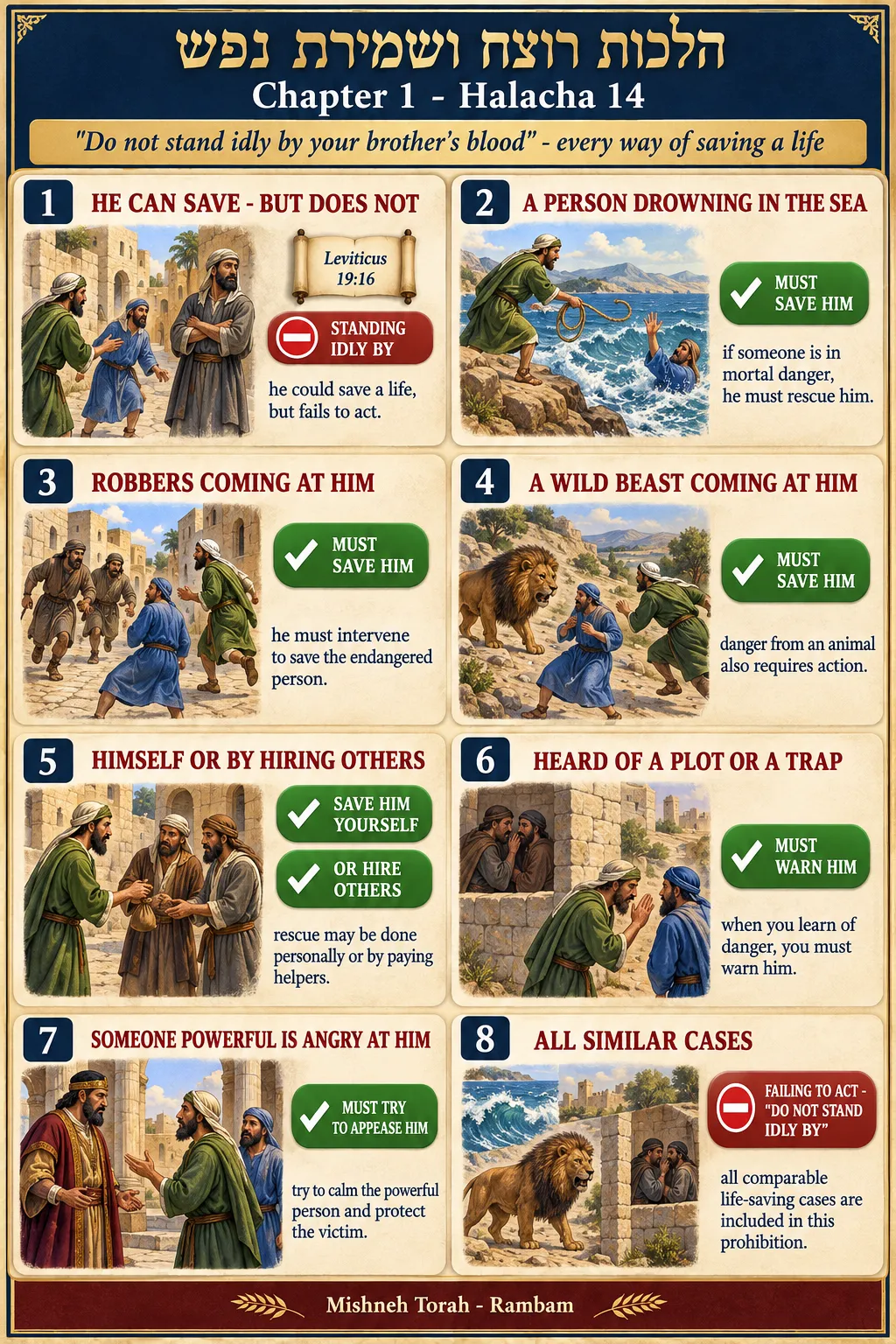 Infographic for halacha 1:14