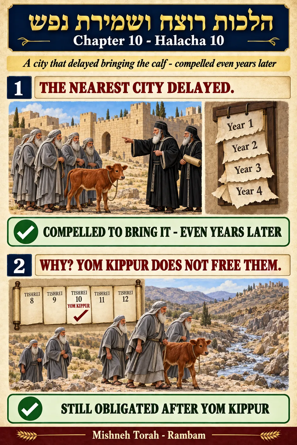 Infographic for halacha 10:10