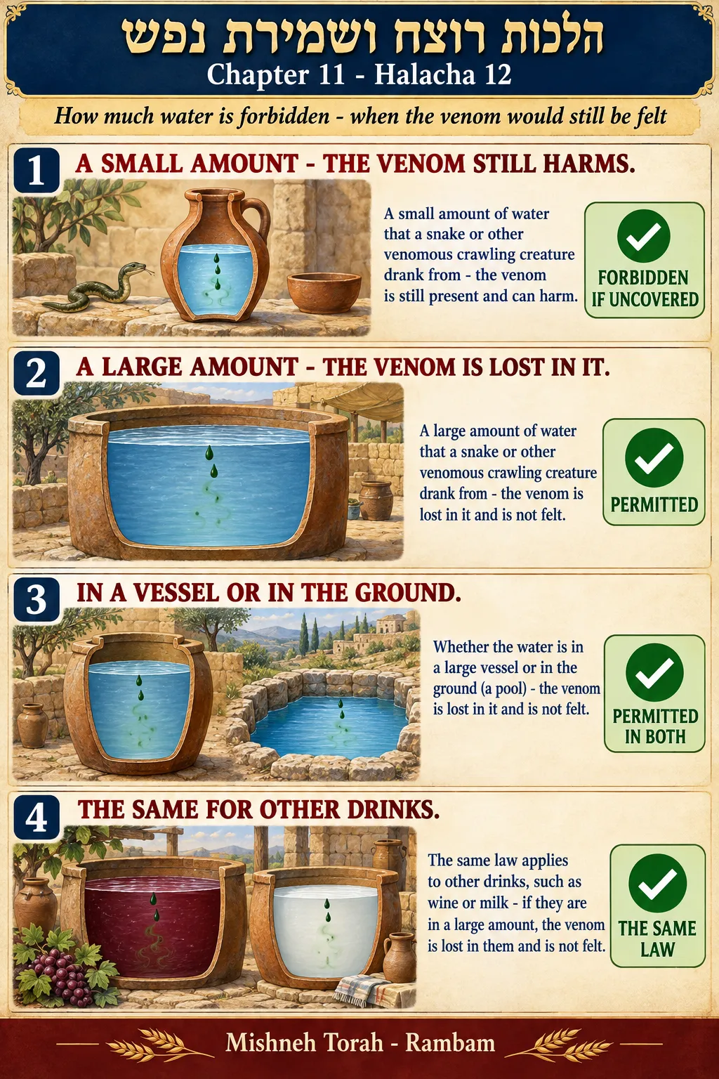 Infographic for halacha 11:12