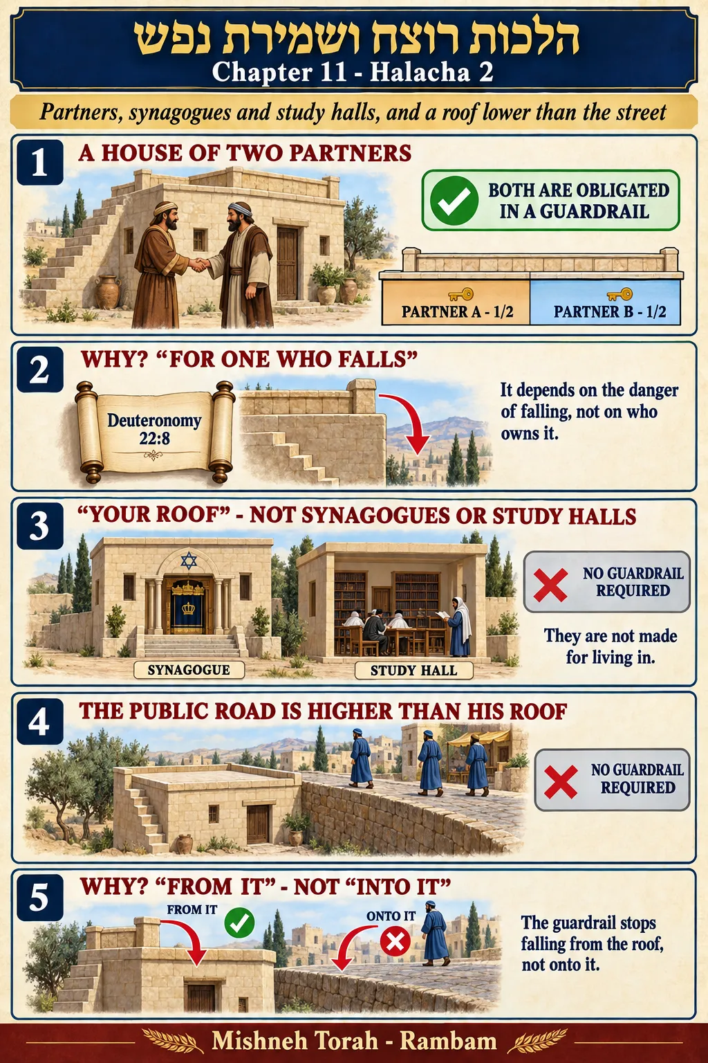 Infographic for halacha 11:2