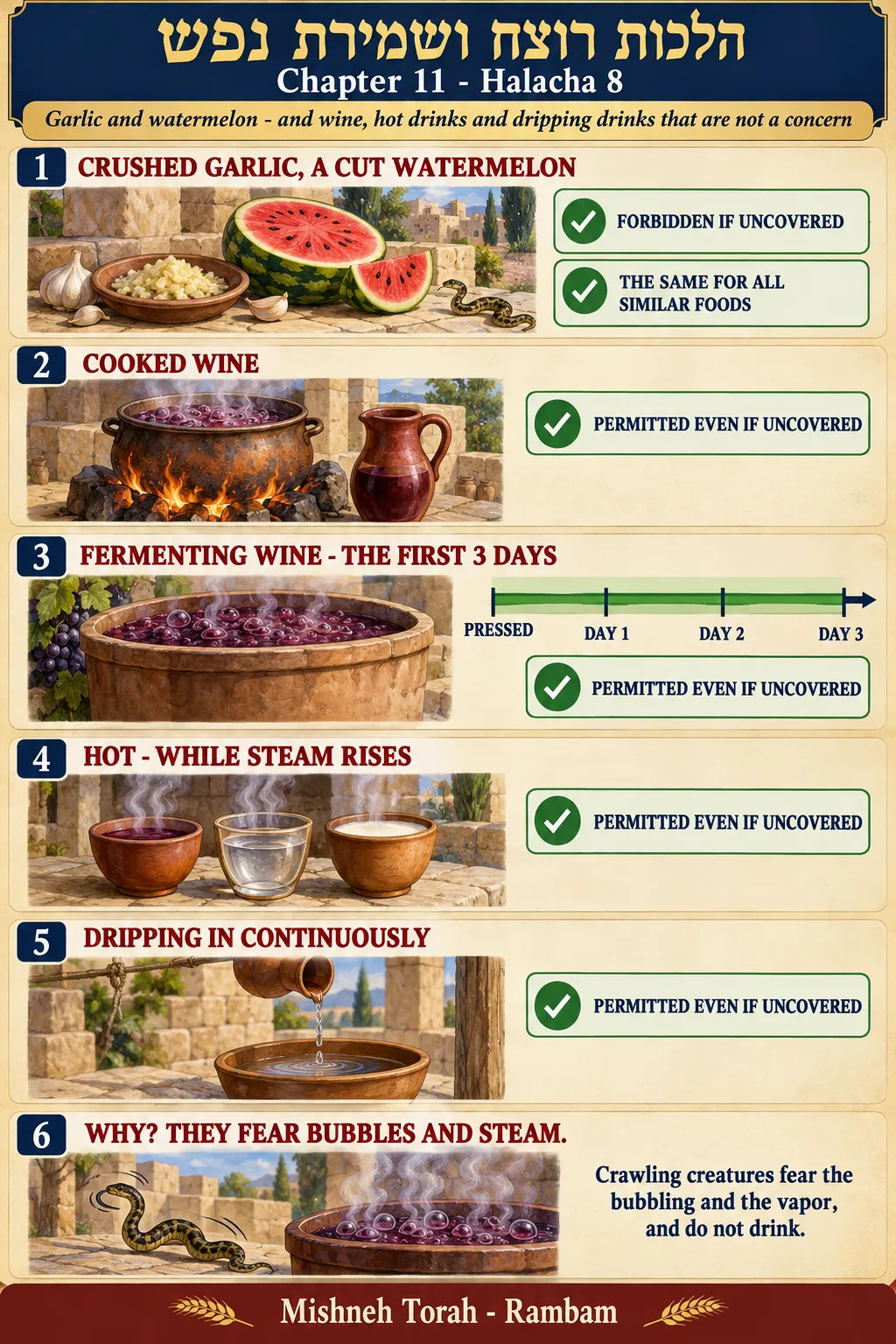 Infographic for halacha 11:8