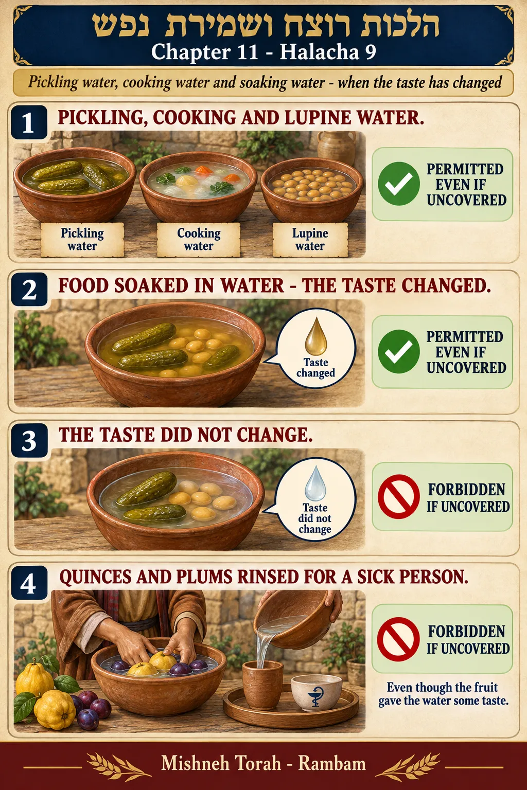 Infographic for halacha 11:9