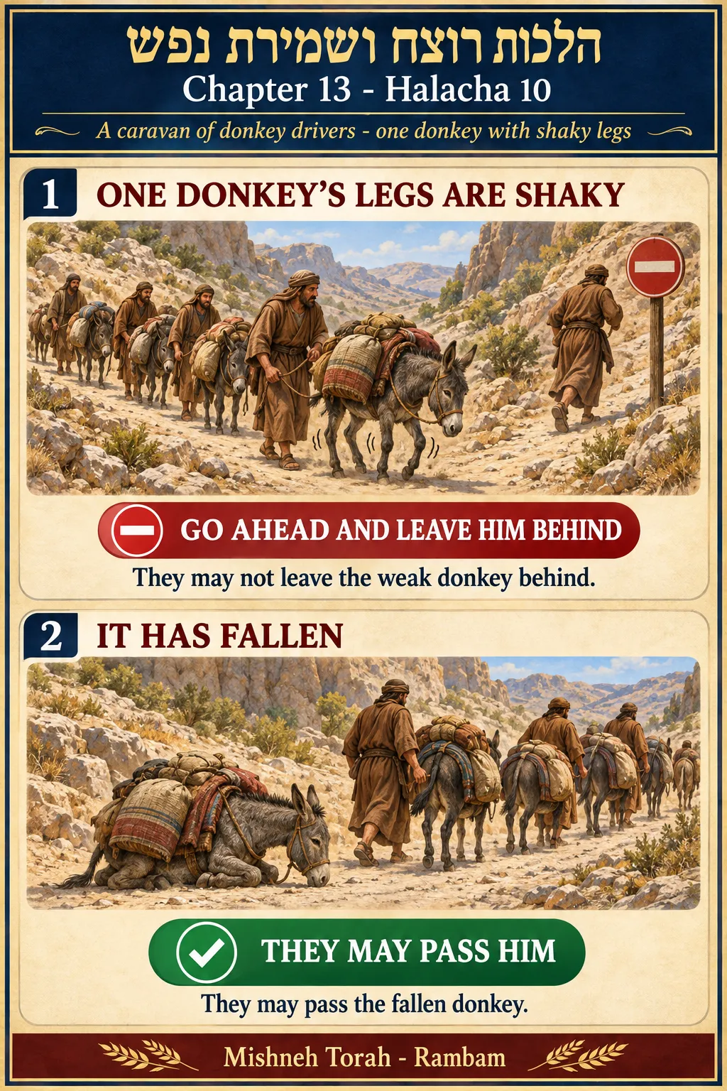 Infographic for halacha 13:10