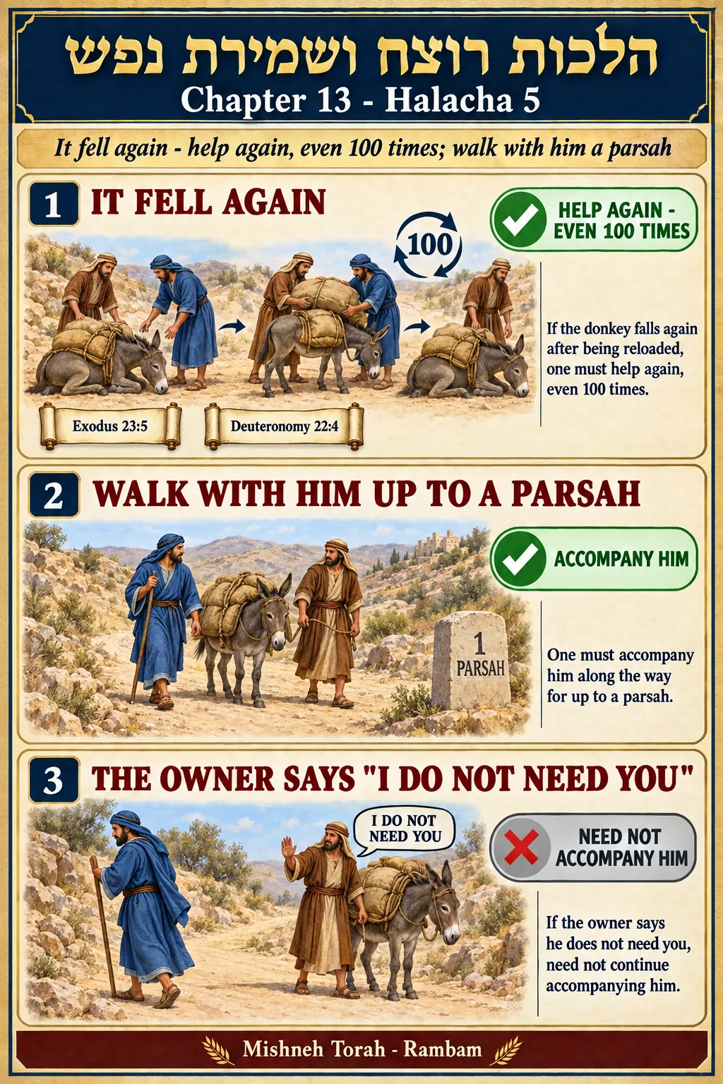 Infographic for halacha 13:5