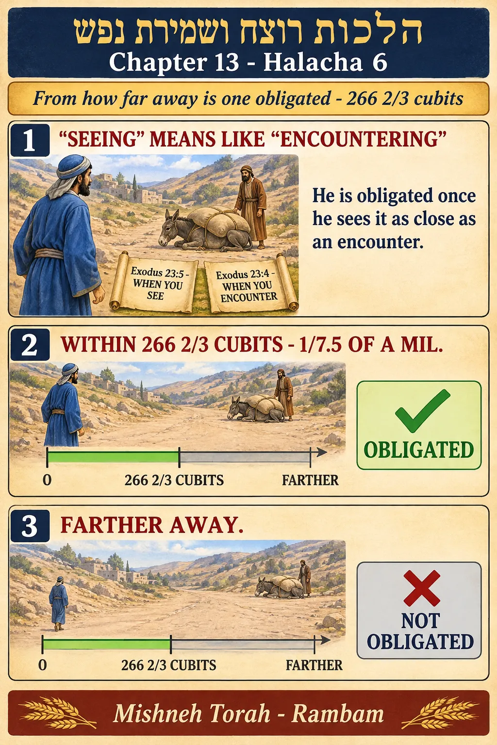 Infographic for halacha 13:6