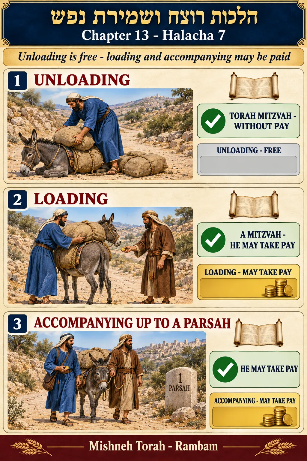 Infographic for halacha 13:7