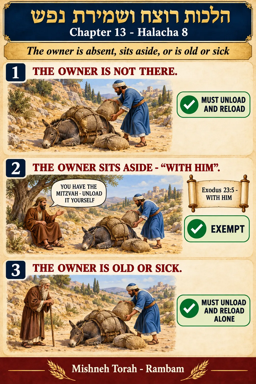 Infographic for halacha 13:8
