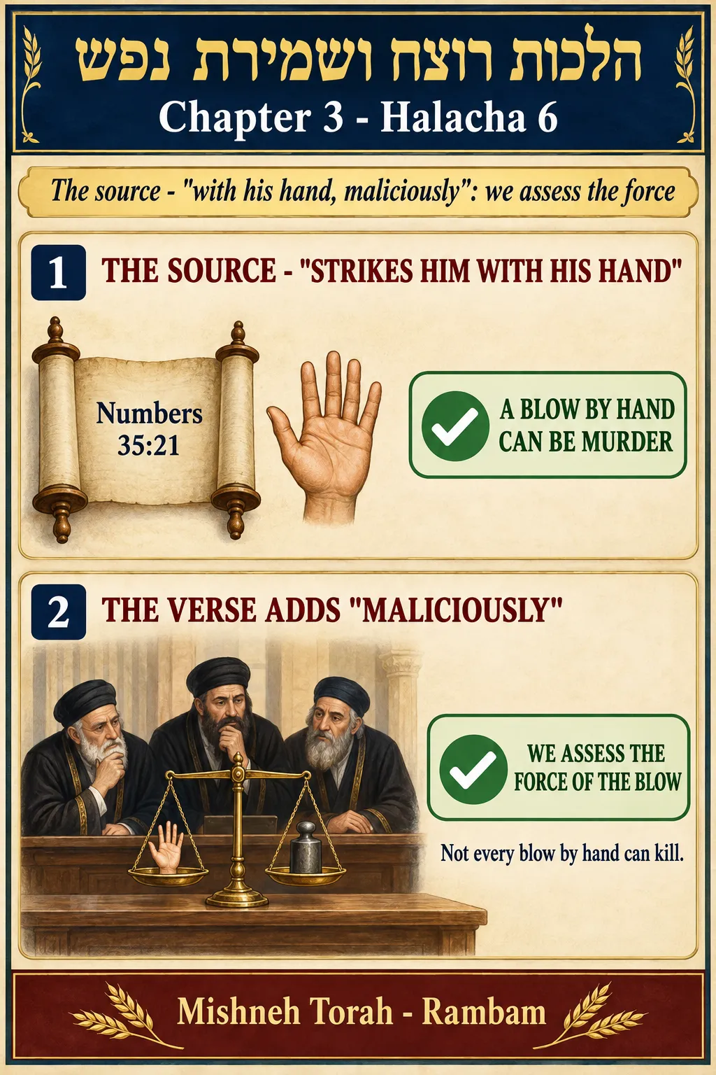 Infographic for halacha 3:6