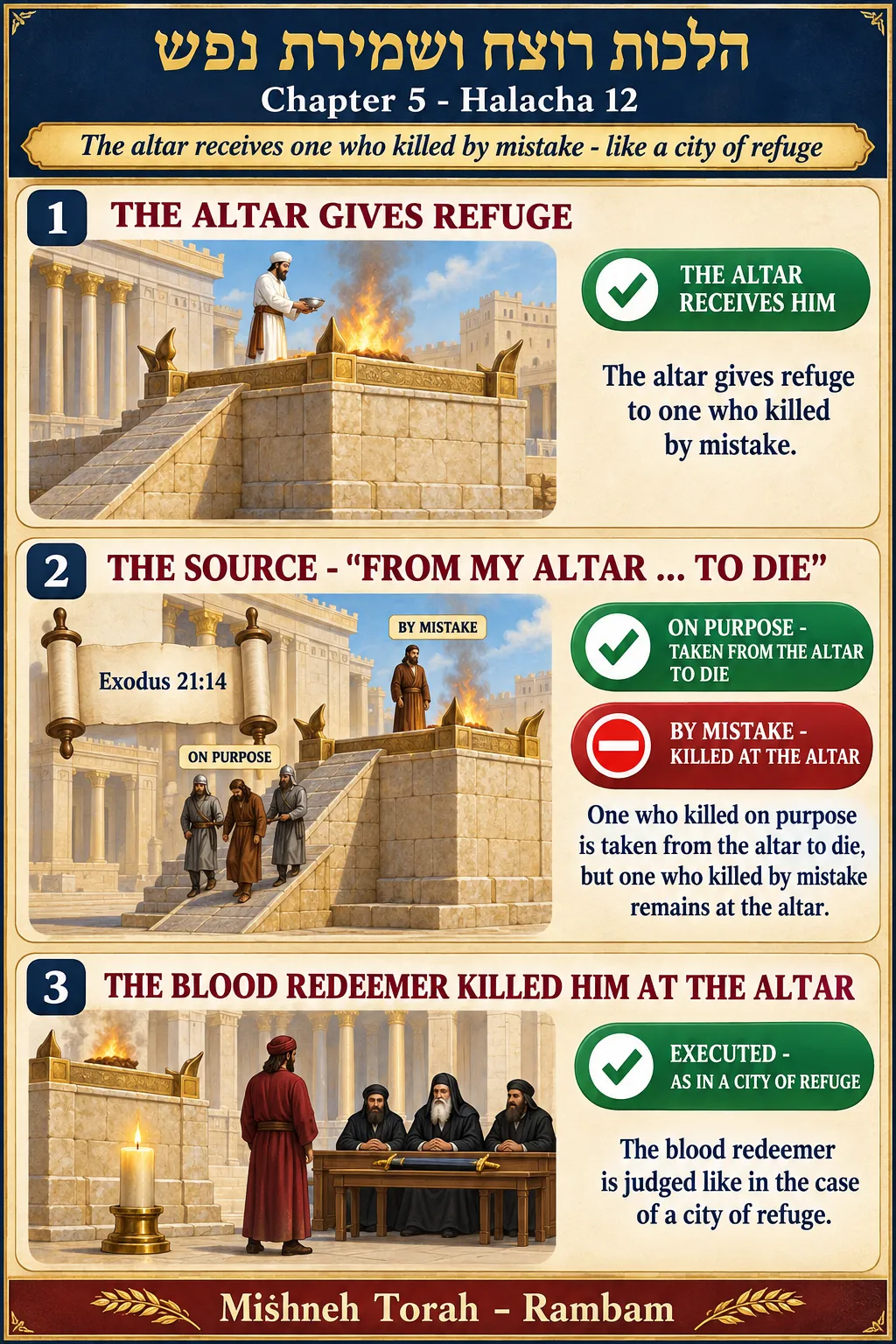Infographic for halacha 5:12
